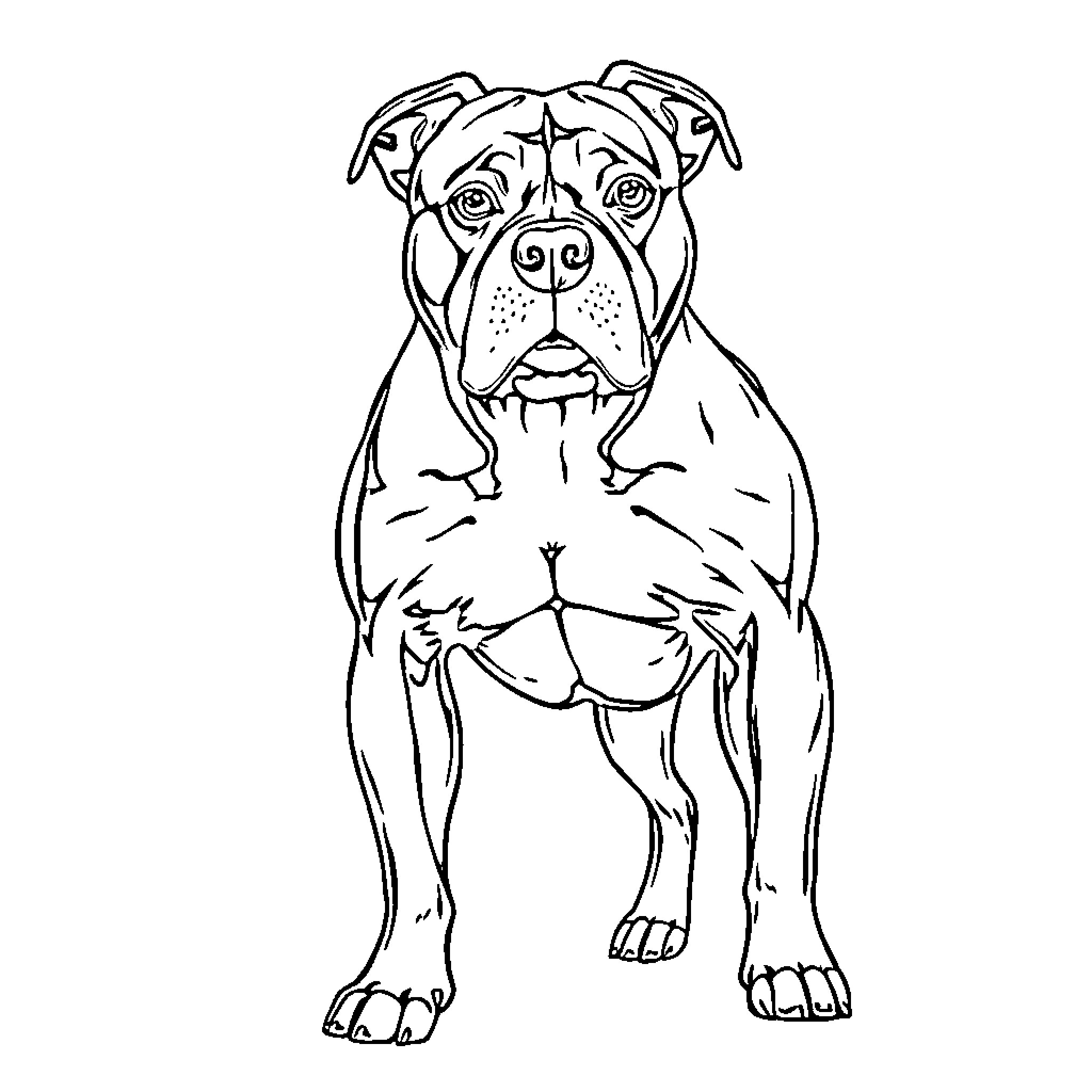 Pitbull sitting and staring intensely Coloring Page (free black-and-white line drawing printable PDF for all, from beginners to advanced learners, including children, teens, adults, and seniors)