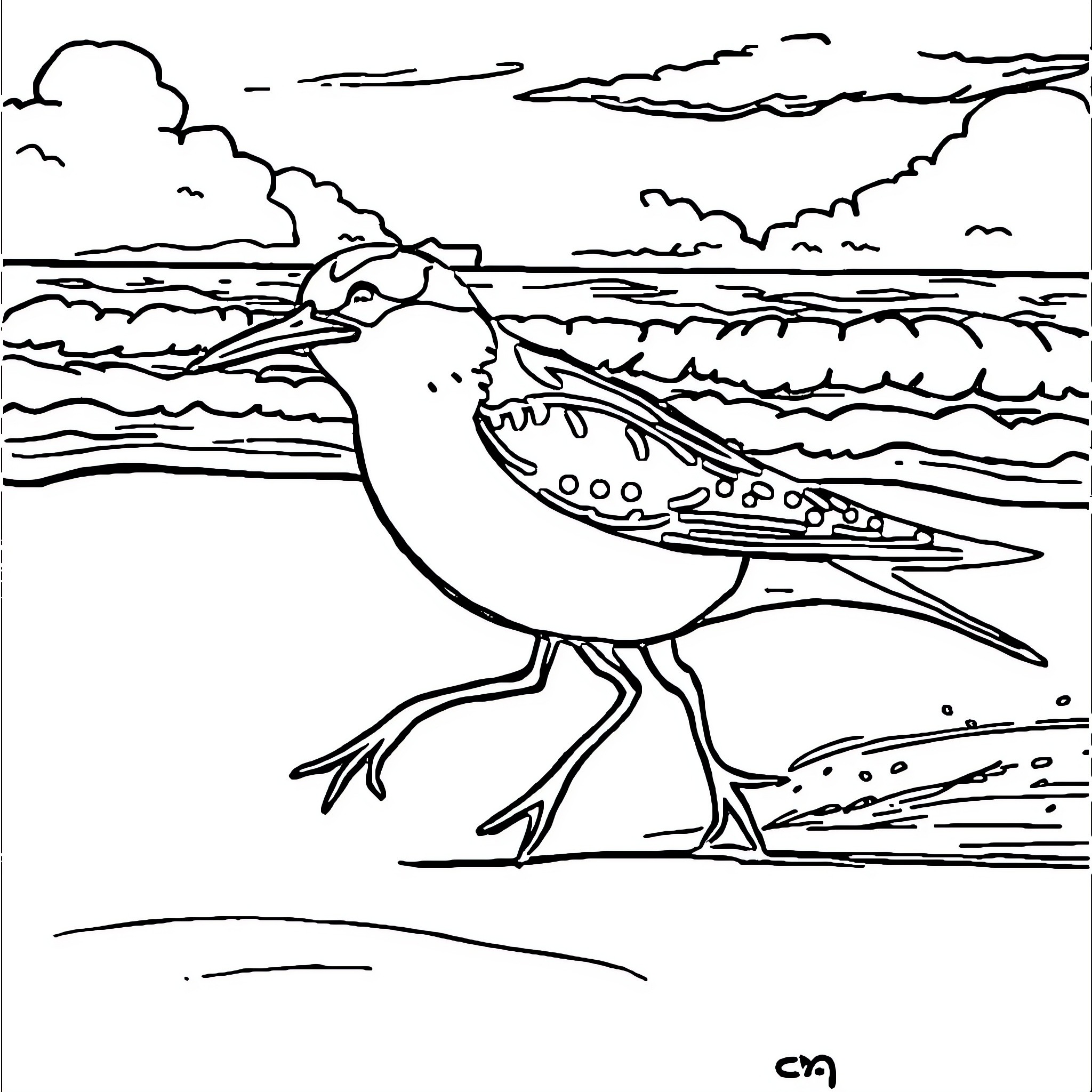 Chase the seabird on the coastline Coloring Page (free black-and-white line drawing printable PDF for all, from beginners to advanced learners, including children, teens, adults, and seniors)