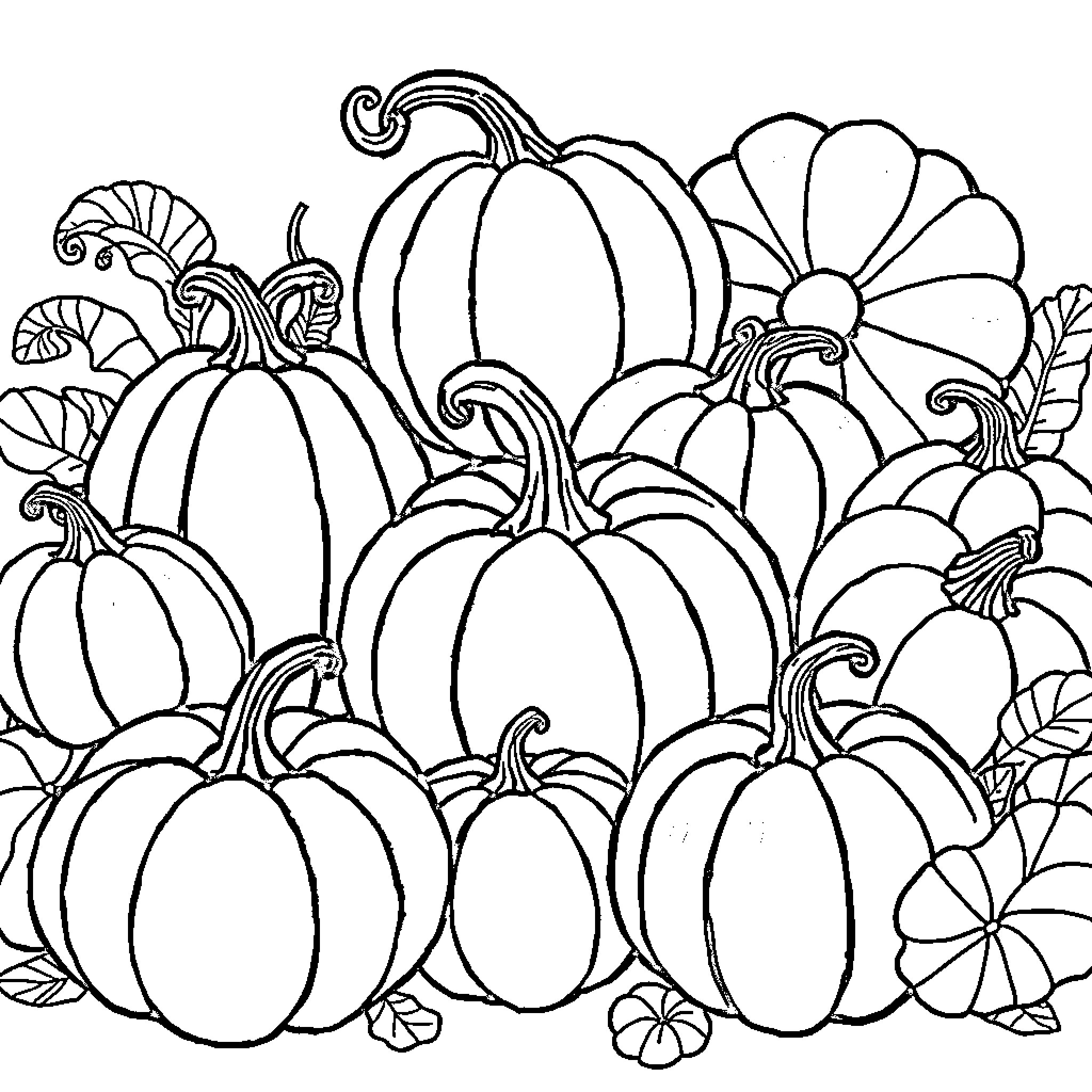 Pumpkins and Floral Arrangement Coloring Page (free black-and-white line drawing printable PDF for all, from beginners to advanced learners, including children, teens, adults, and seniors)