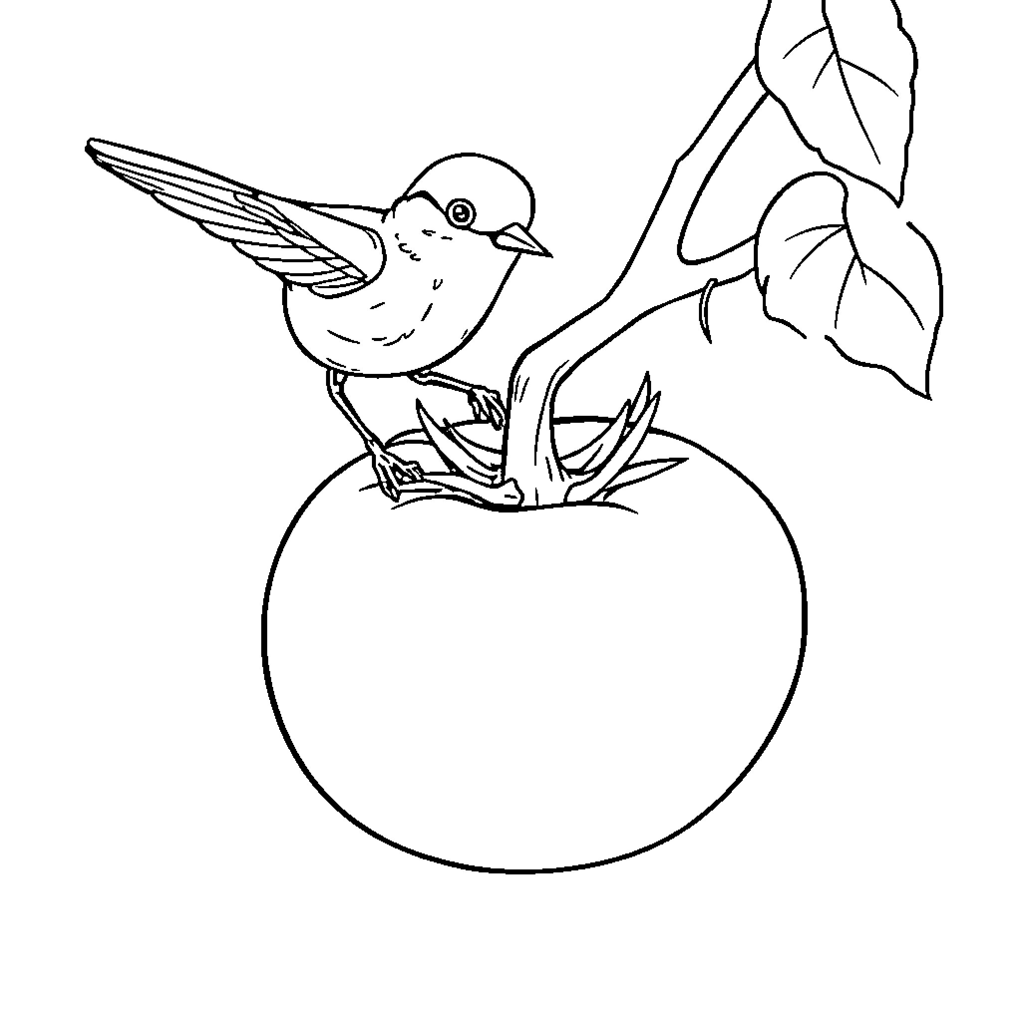 Tomato bird perched on vine with leaves Coloring Page (free black-and-white line drawing printable PDF for all, from beginners to advanced learners, including children, teens, adults, and seniors)
