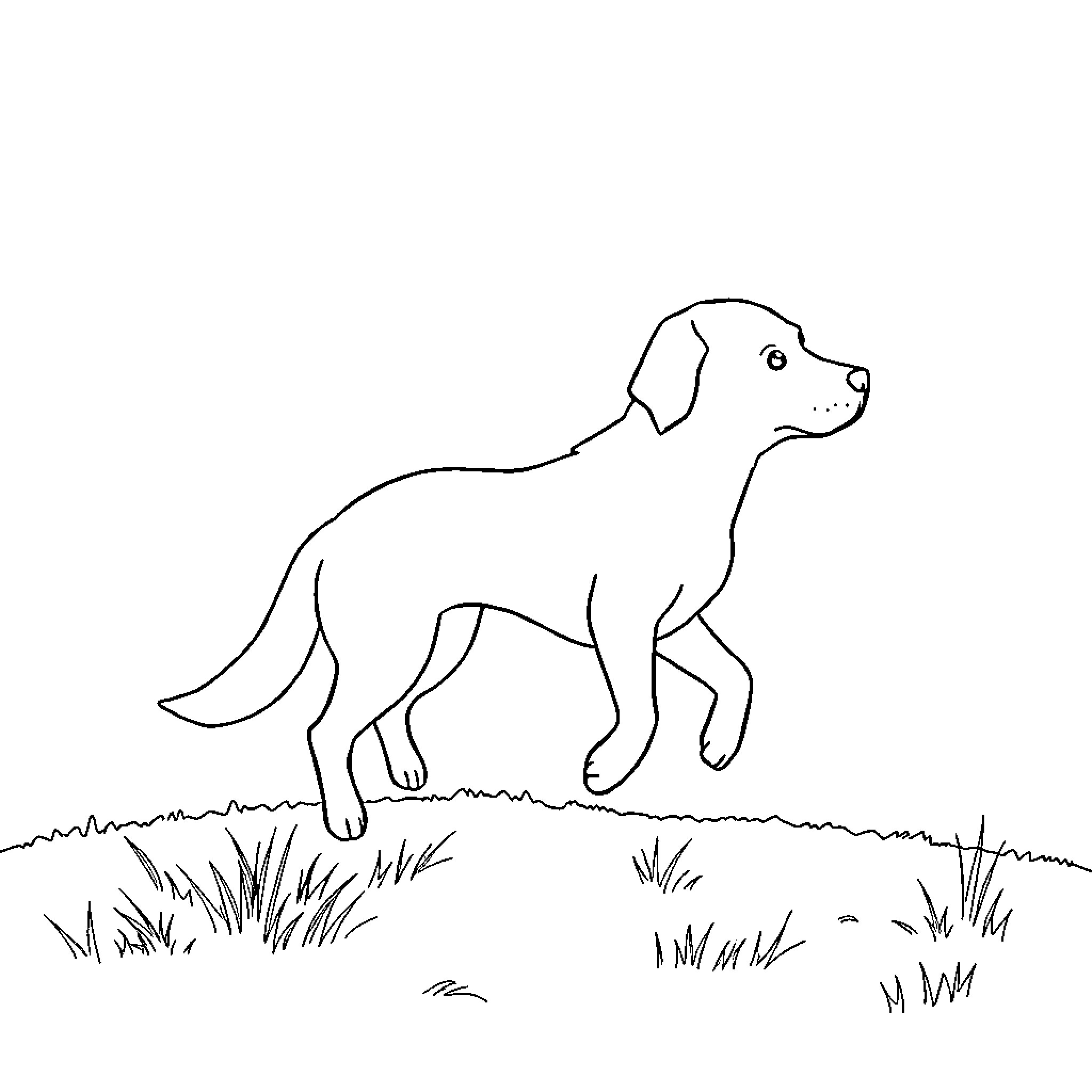 Ghost Dog exploring the outdoors Coloring Page (free black-and-white line drawing printable PDF for all, from beginners to advanced learners, including children, teens, adults, and seniors)