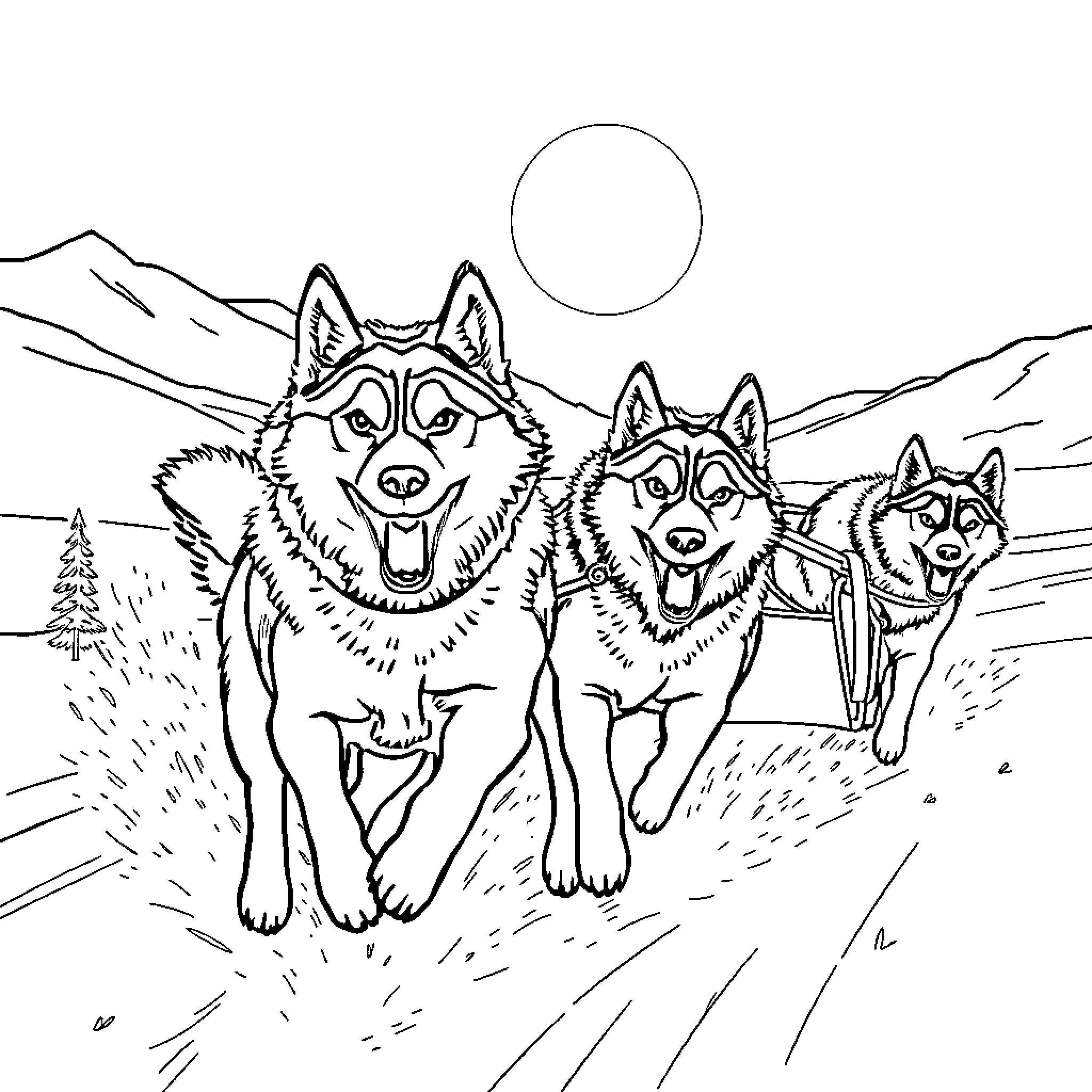 Huskies racing joyfully through snowy landscape Coloring Page (free black-and-white line drawing printable PDF for all, from beginners to advanced learners, including children, teens, adults, and seniors)
