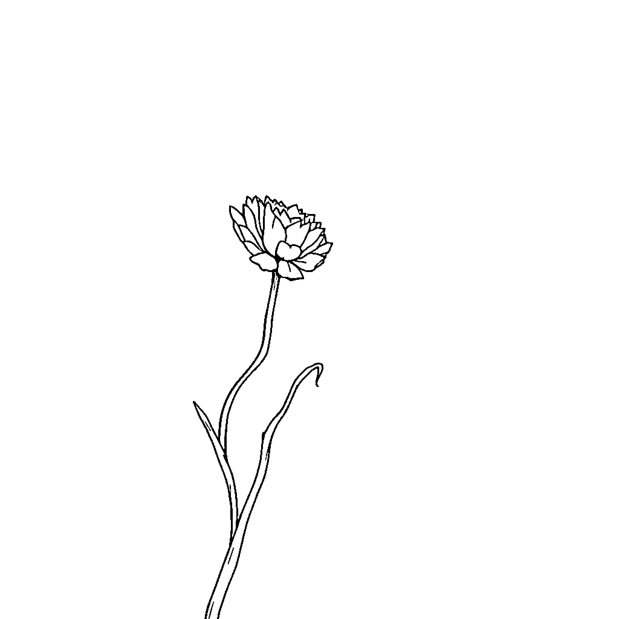 Car with single flower blooming Coloring Page (free black-and-white line drawing printable PDF for all, from beginners to advanced learners, including children, teens, adults, and seniors)