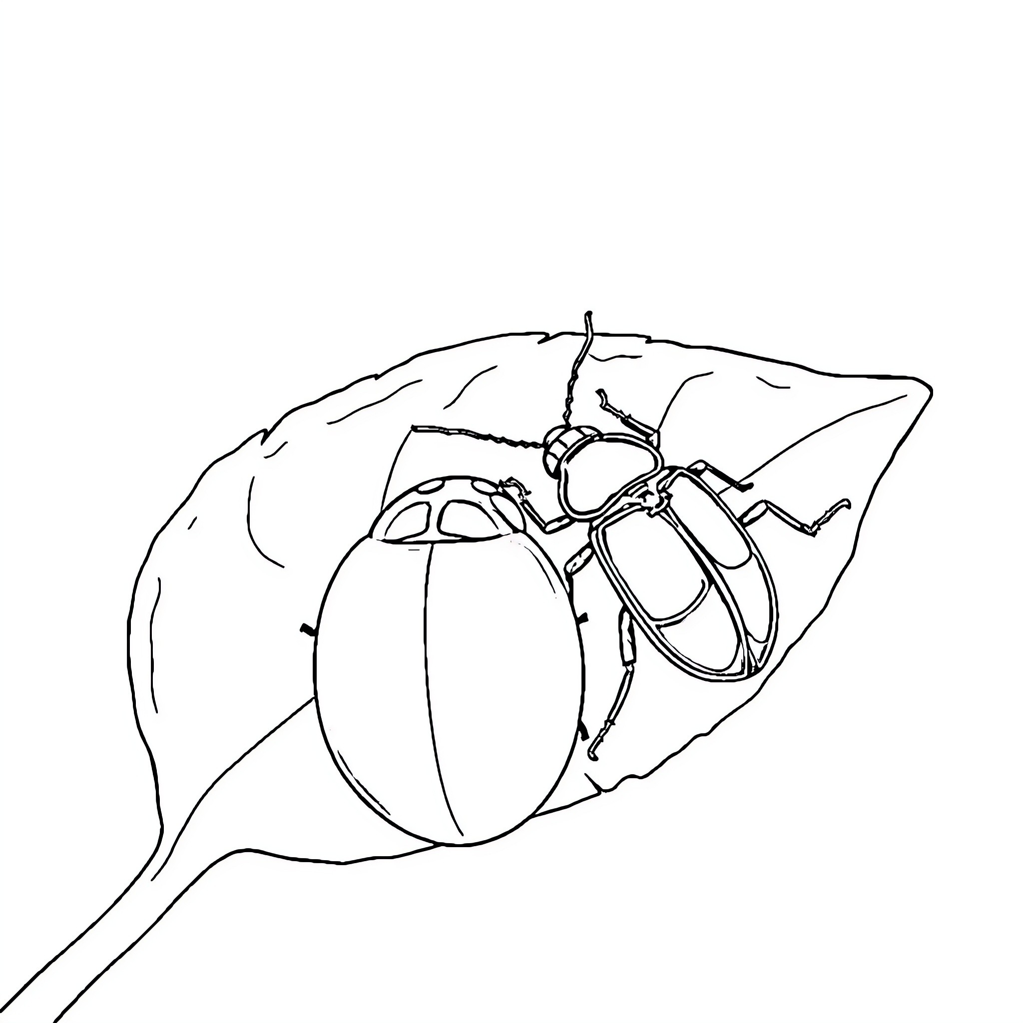 Ladybug resting on leaf with intricate details Coloring Page (free black-and-white line drawing printable PDF for all, from beginners to advanced learners, including children, teens, adults, and seniors)