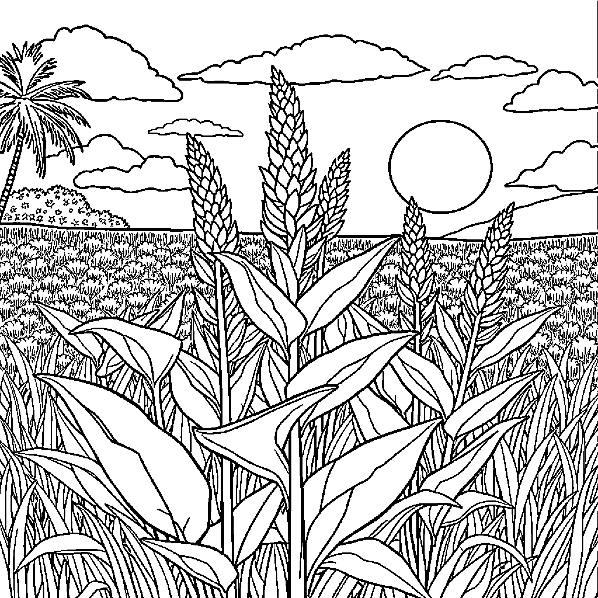 Marijuana plants growing in a tropical landscape Coloring Page (free black-and-white line drawing printable PDF for all, from beginners to advanced learners, including children, teens, adults, and seniors)