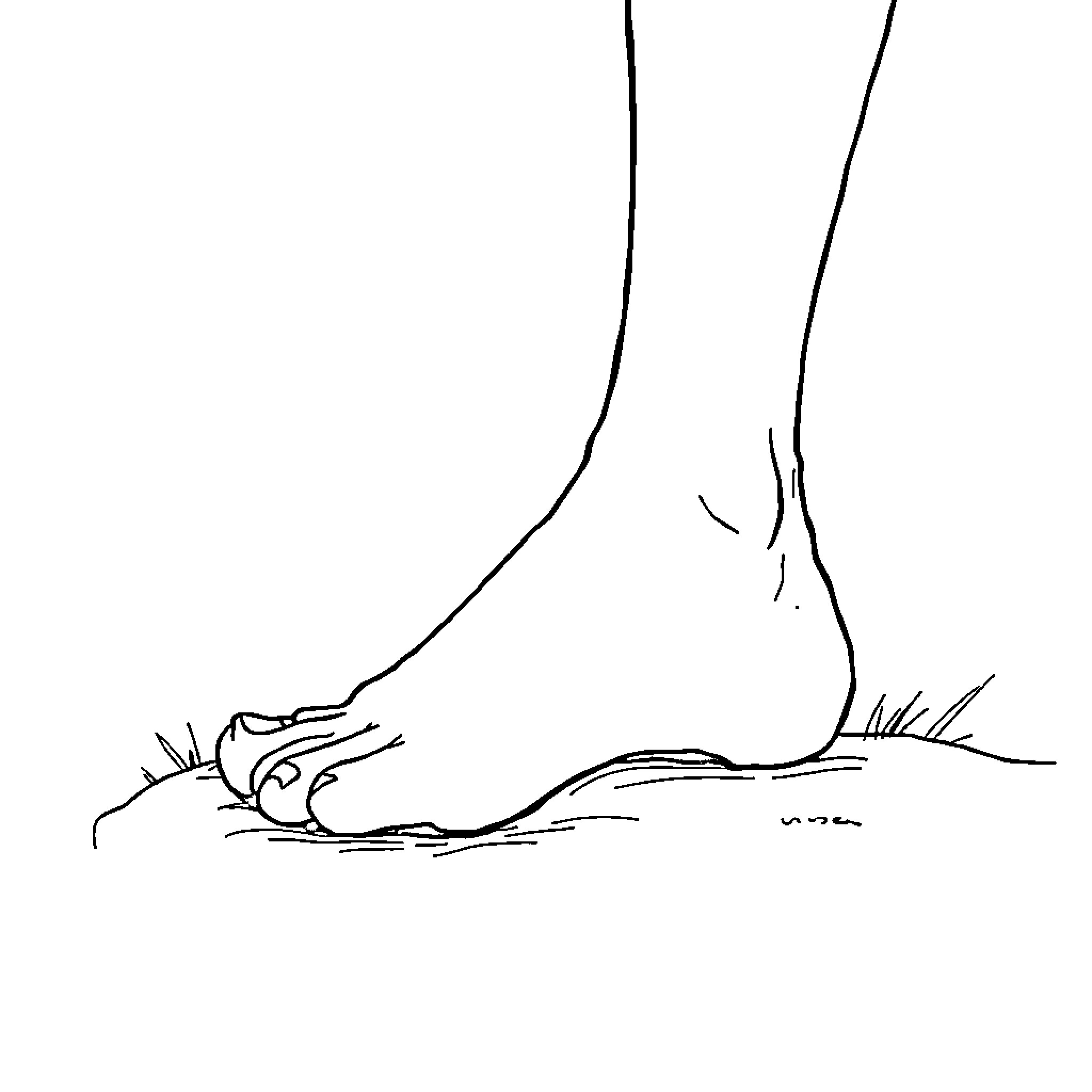 Foot walking through muddy terrain Coloring Page (free black-and-white line drawing printable PDF for all, from beginners to advanced learners, including children, teens, adults, and seniors)