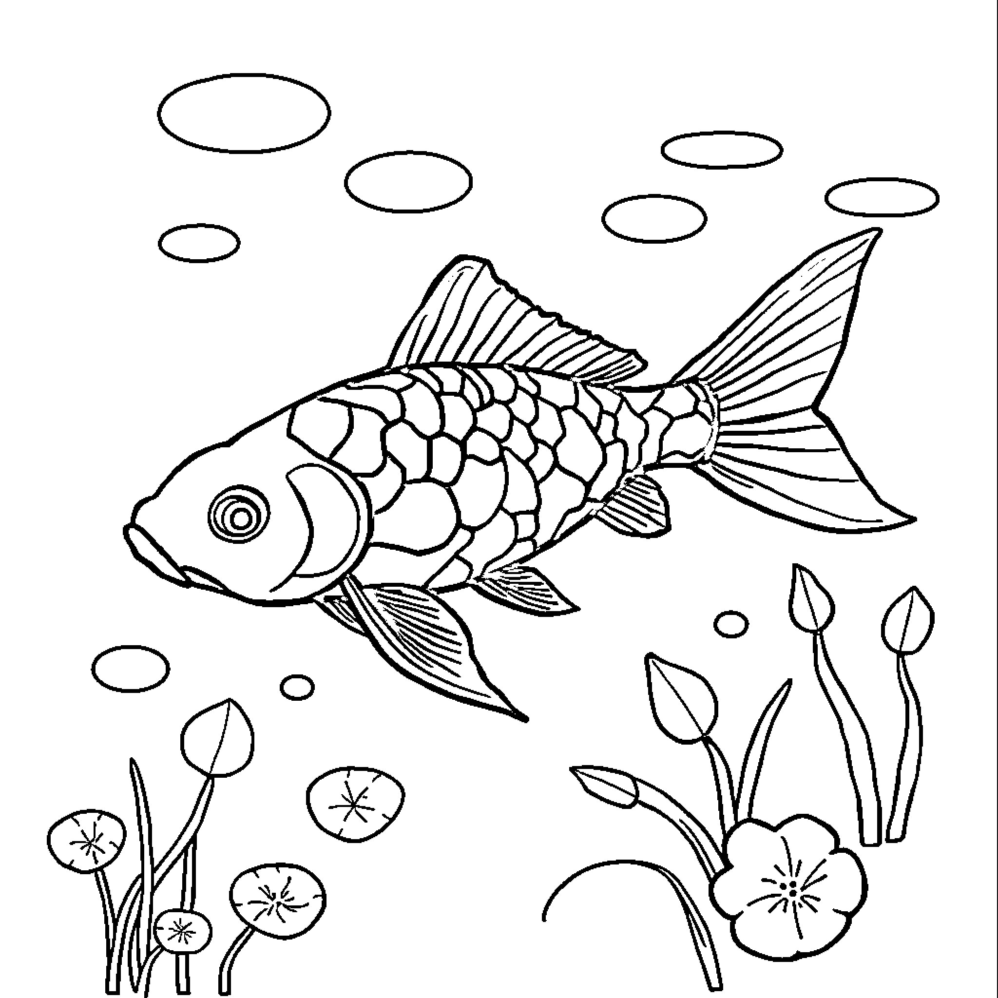 Fish swimming with underwater plants and bubbles Coloring Page (free black-and-white line drawing printable PDF for all, from beginners to advanced learners, including children, teens, adults, and seniors)