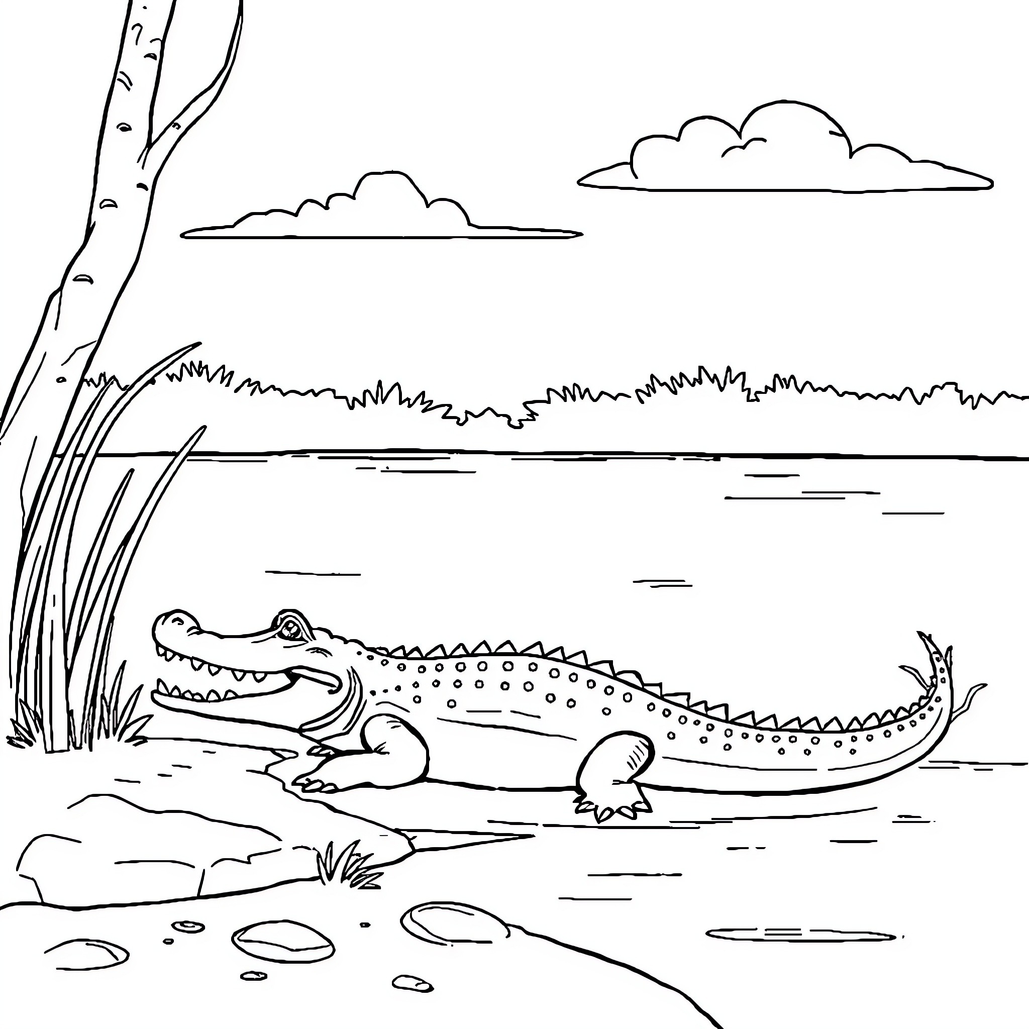 Alligator basking in the sun by the lake Coloring Page (free black-and-white line drawing printable PDF for all, from beginners to advanced learners, including children, teens, adults, and seniors)