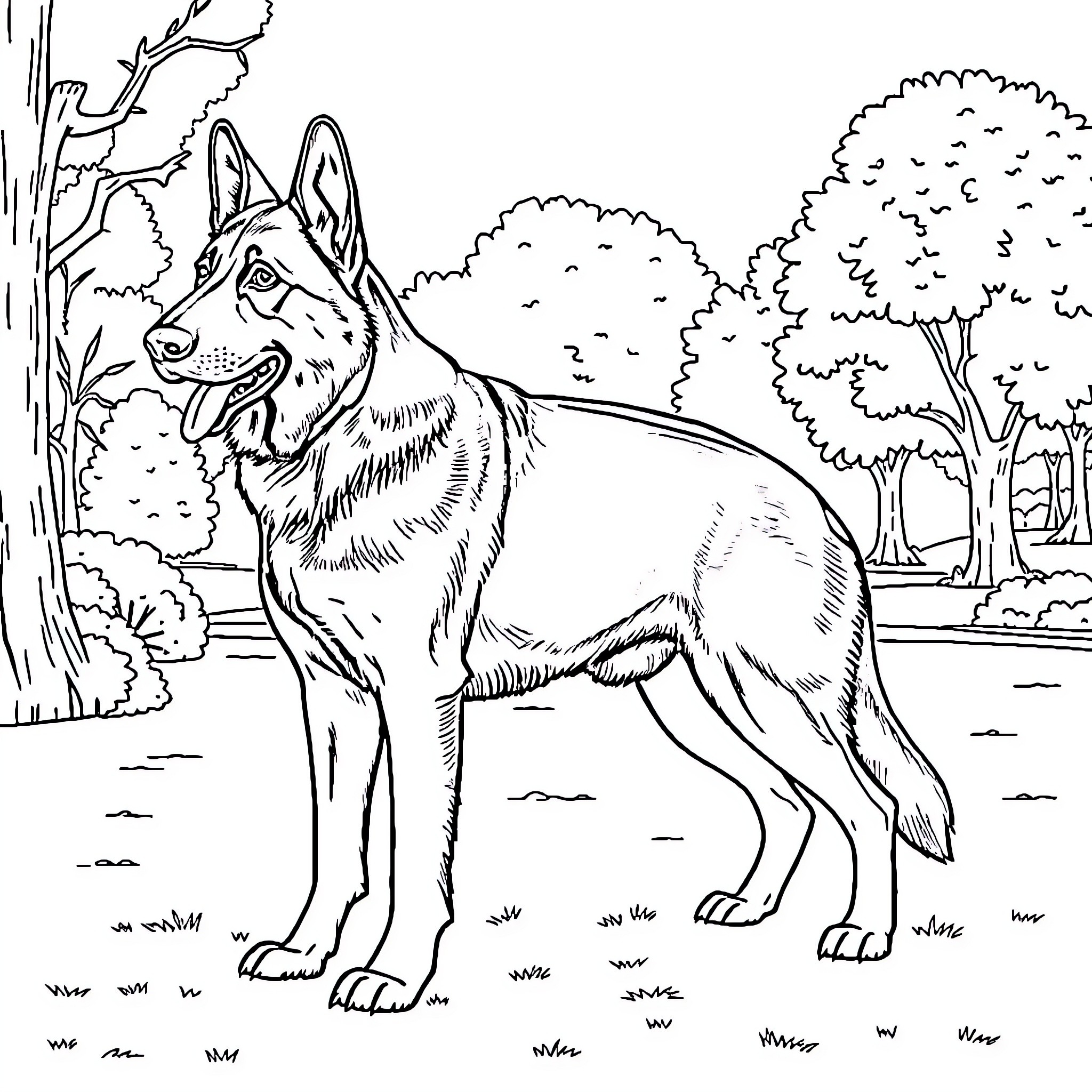 German Shepherd standing alert in the forest Coloring Page (free black-and-white line drawing printable PDF for all, from beginners to advanced learners, including children, teens, adults, and seniors)