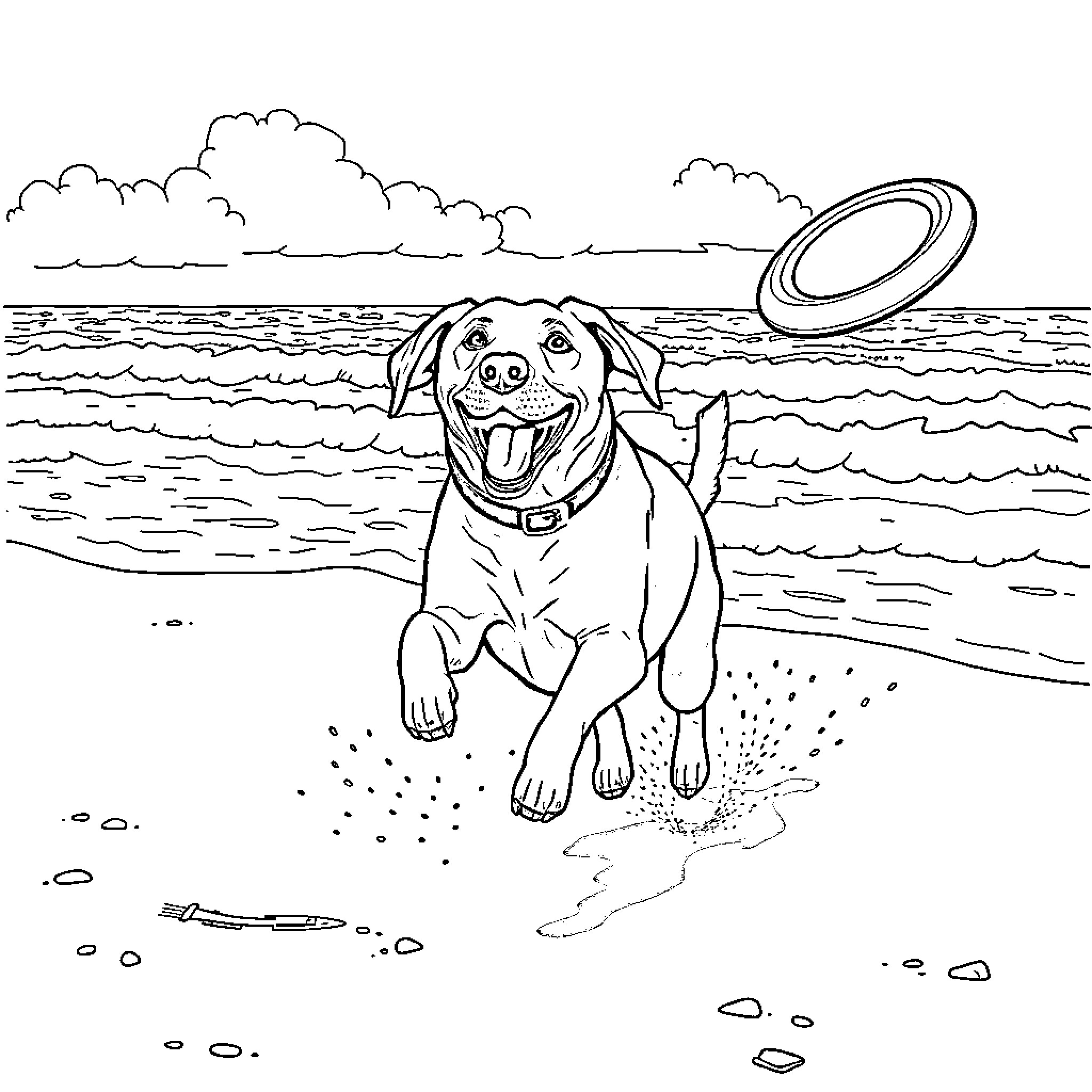 Lab dog playing with frisbee on beach Coloring Page (free black-and-white line drawing printable PDF for all, from beginners to advanced learners, including children, teens, adults, and seniors)