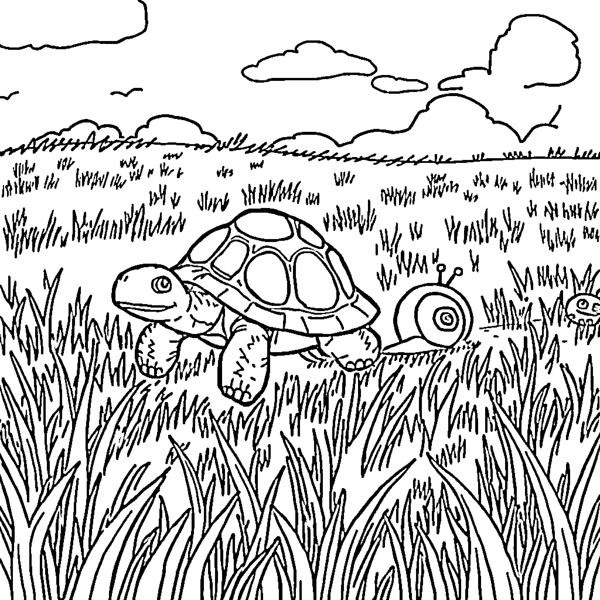Turtle exploring the outdoor grass field Coloring Page (free black-and-white line drawing printable PDF for all, from beginners to advanced learners, including children, teens, adults, and seniors)
