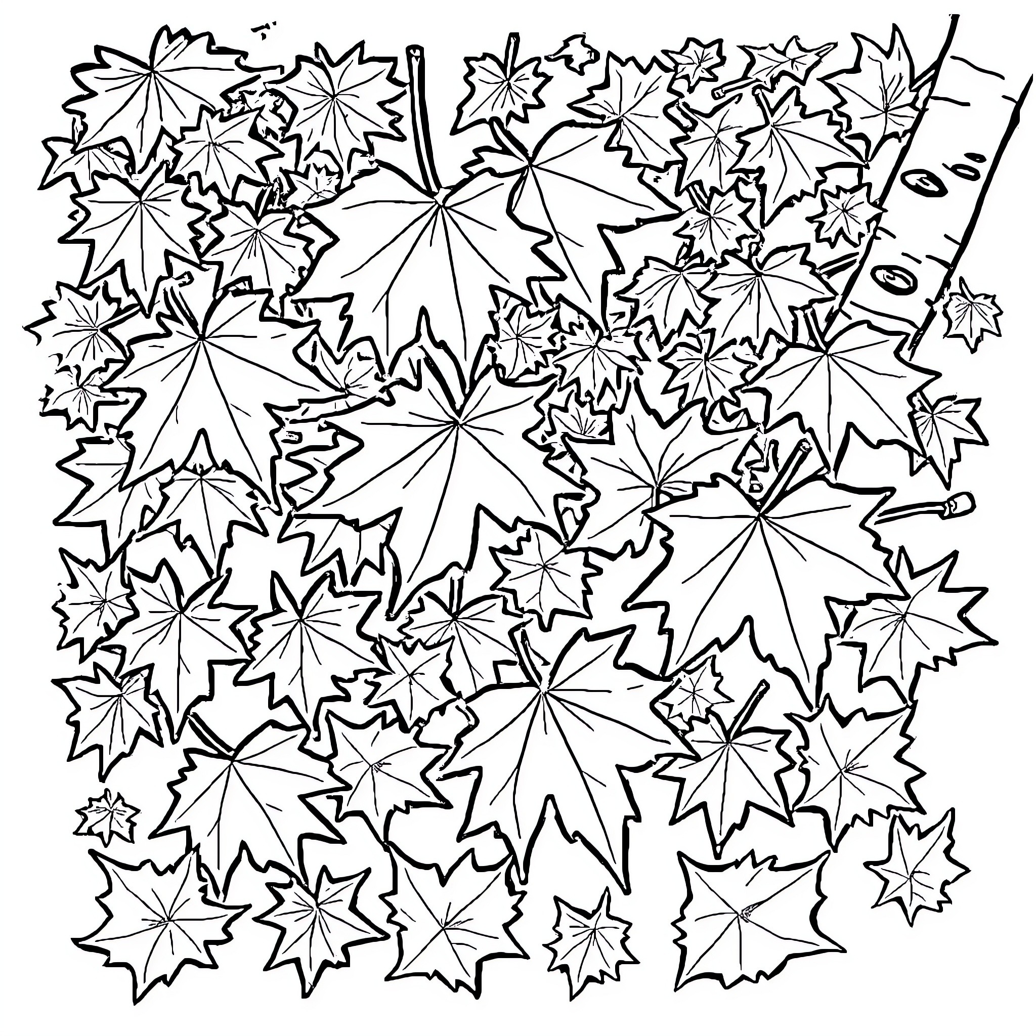 Leaf pattern of scattered autumn leaves Coloring Page (free black-and-white line drawing printable PDF for all, from beginners to advanced learners, including children, teens, adults, and seniors)
