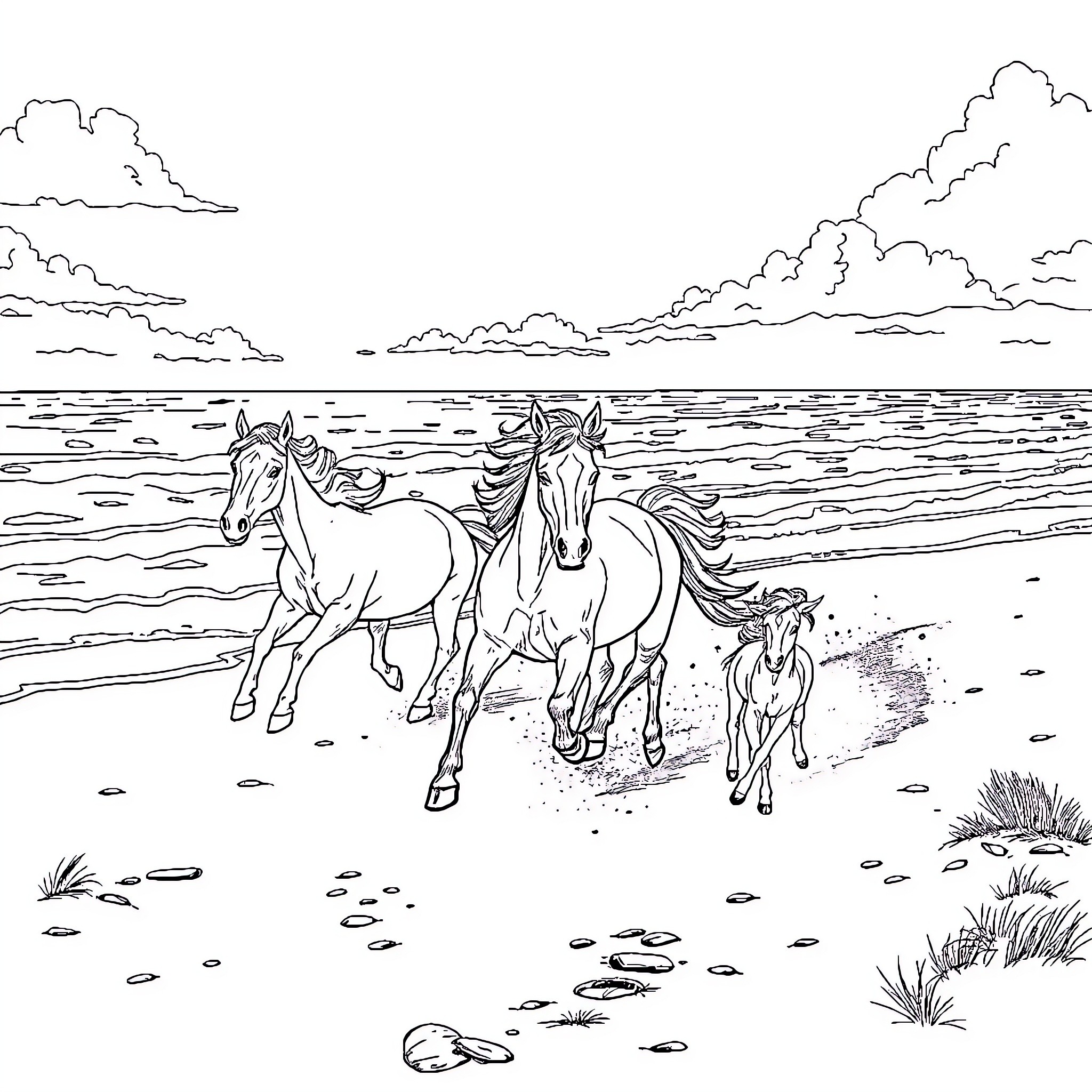Horses galloping along the beach Coloring Page (free black-and-white line drawing printable PDF for all, from beginners to advanced learners, including children, teens, adults, and seniors)