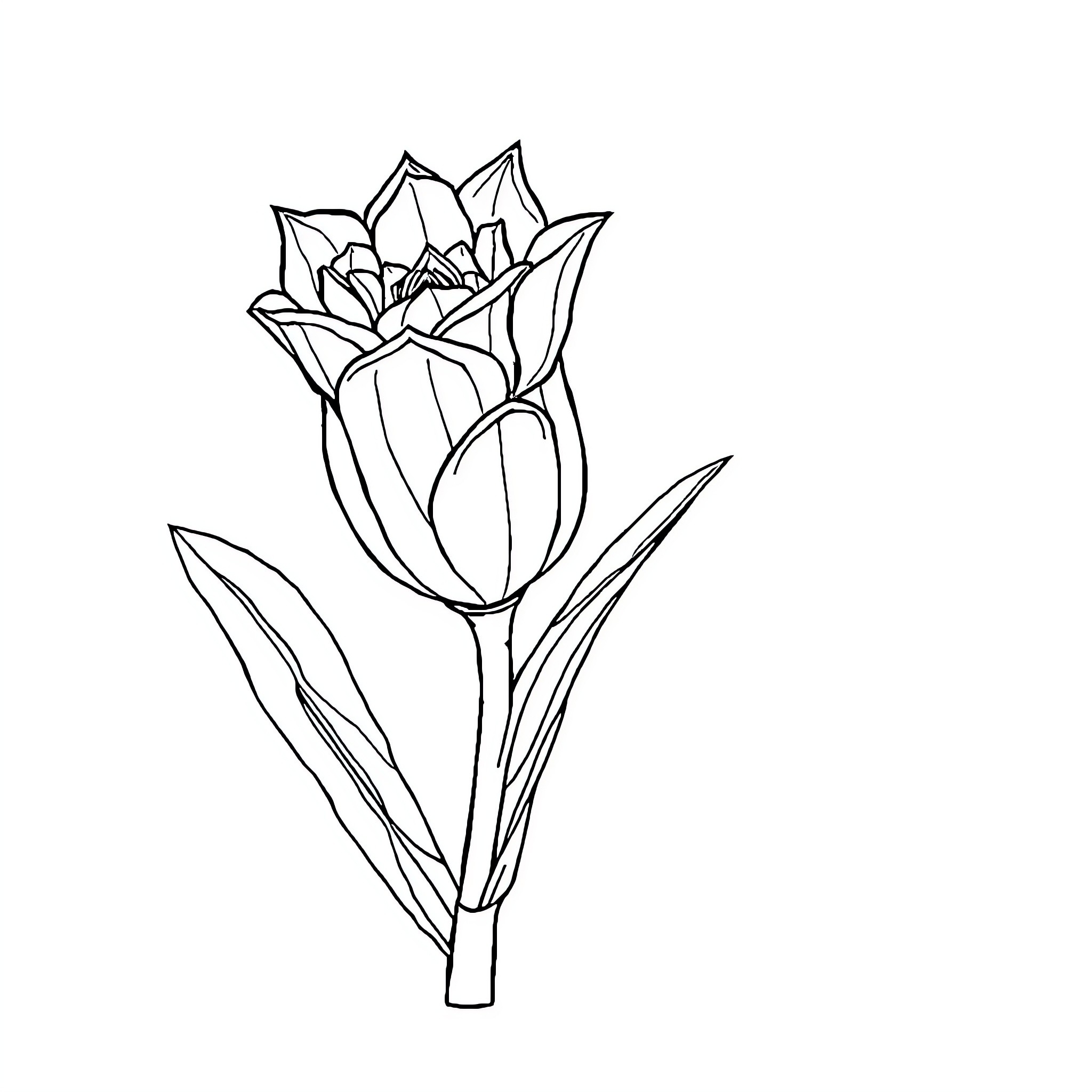 Célula floral em linhas simples Coloring Page (free black-and-white line drawing printable PDF for all, from beginners to advanced learners, including children, teens, adults, and seniors)