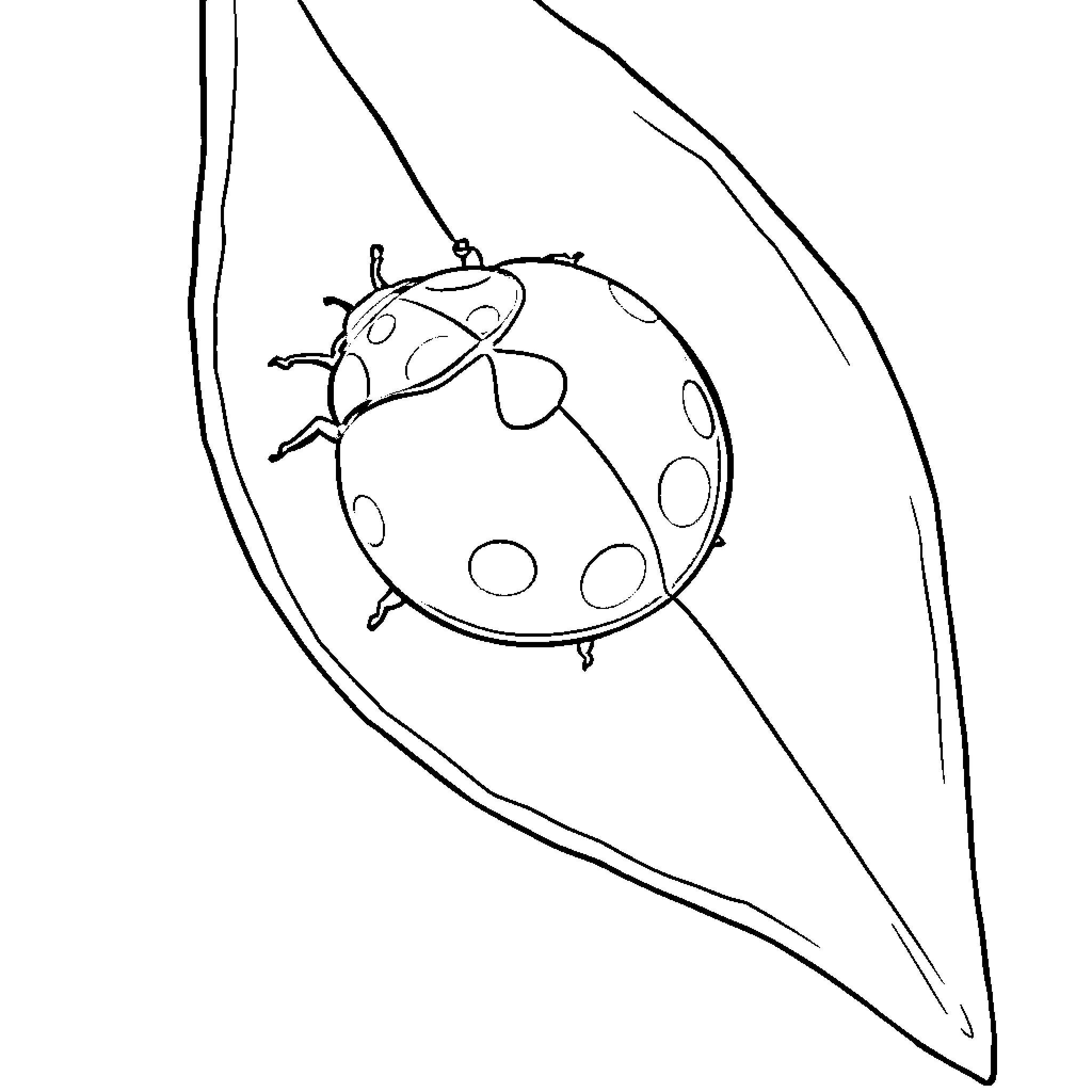 Ladybug resting on a leaf Coloring Page (free black-and-white line drawing printable PDF for all, from beginners to advanced learners, including children, teens, adults, and seniors)