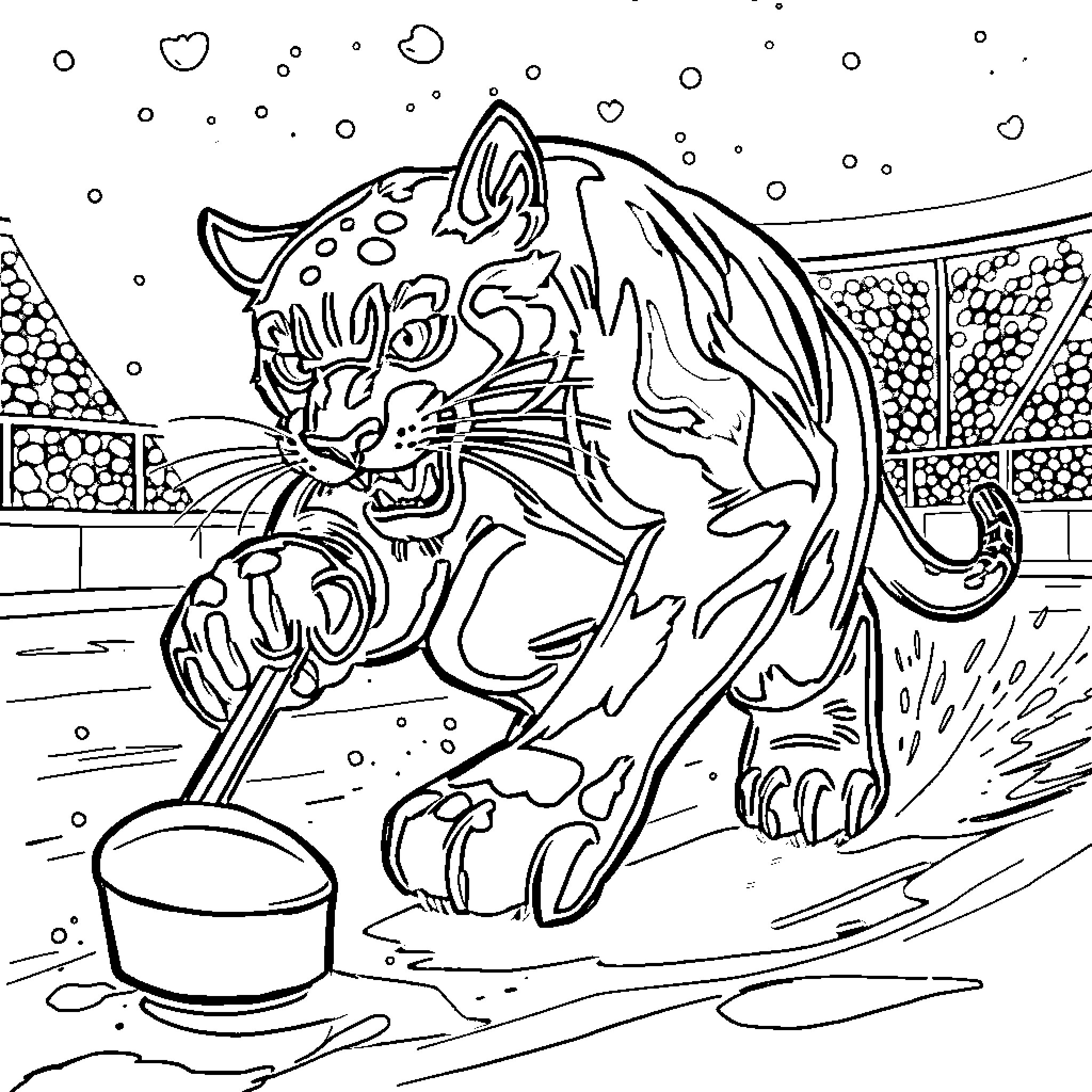 Panther playing with water on the ground Coloring Page (free black-and-white line drawing printable PDF for all, from beginners to advanced learners, including children, teens, adults, and seniors)