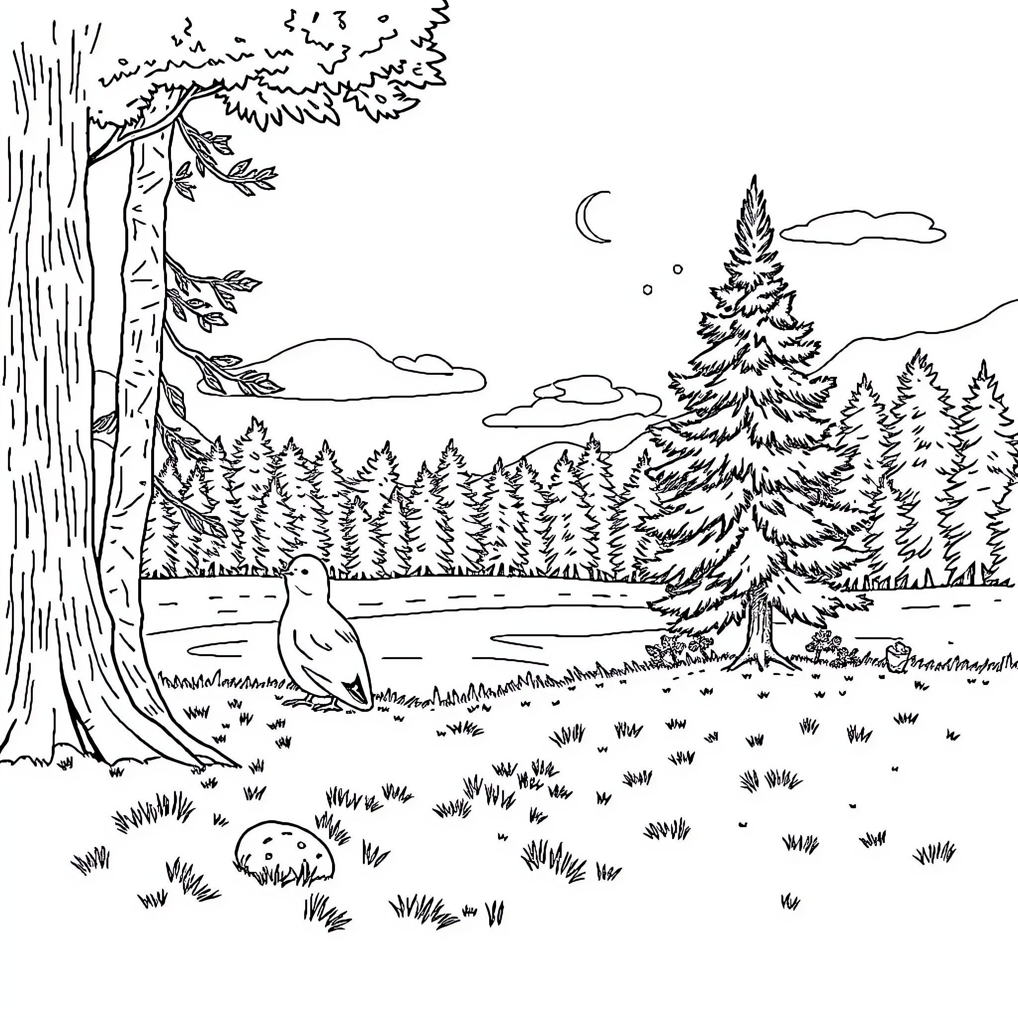 Owl perched in a tranquil forest landscape Coloring Page (free black-and-white line drawing printable PDF for all, from beginners to advanced learners, including children, teens, adults, and seniors)