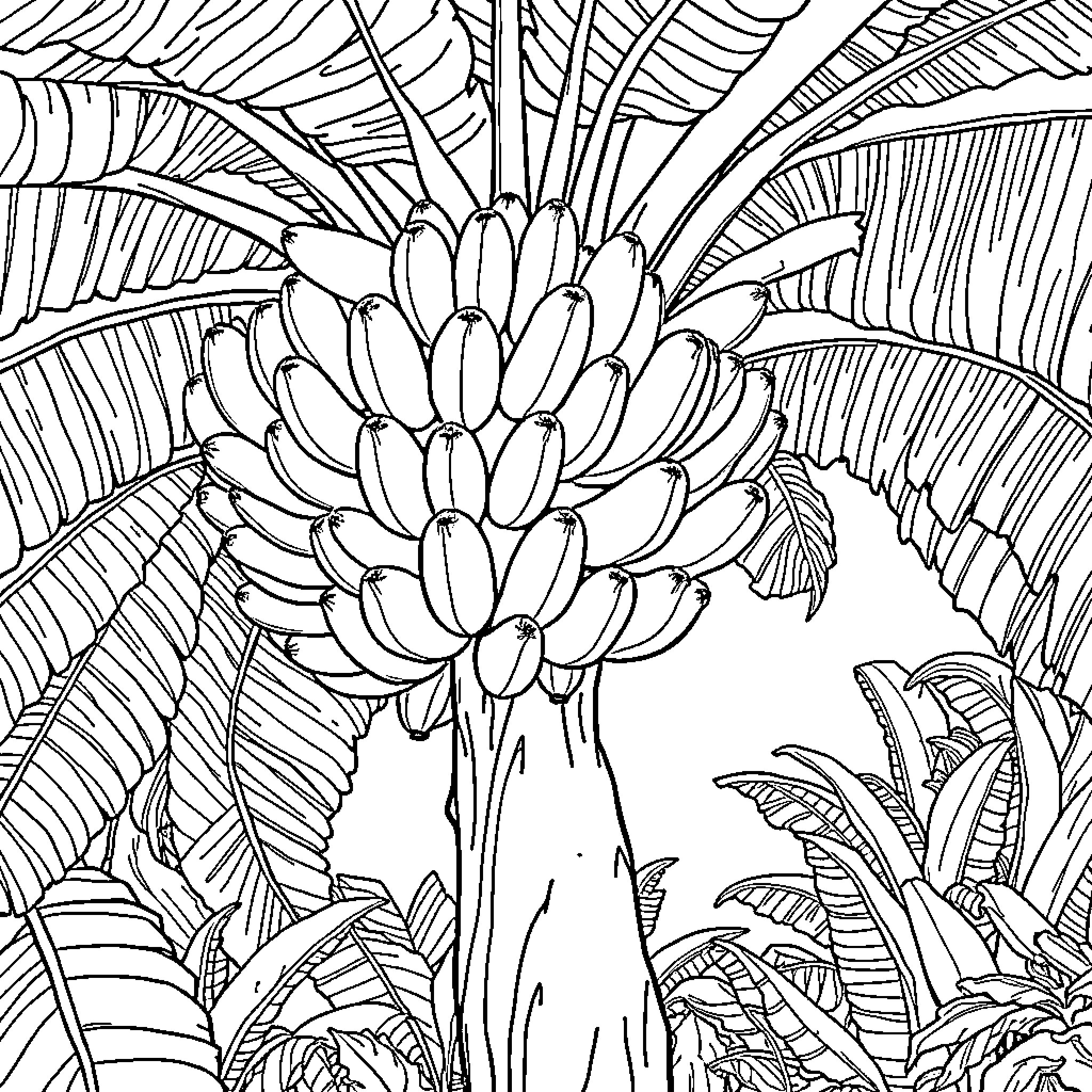 Banana Tree with Lush Foliage Coloring Page (free black-and-white line drawing printable PDF for all, from beginners to advanced learners, including children, teens, adults, and seniors)