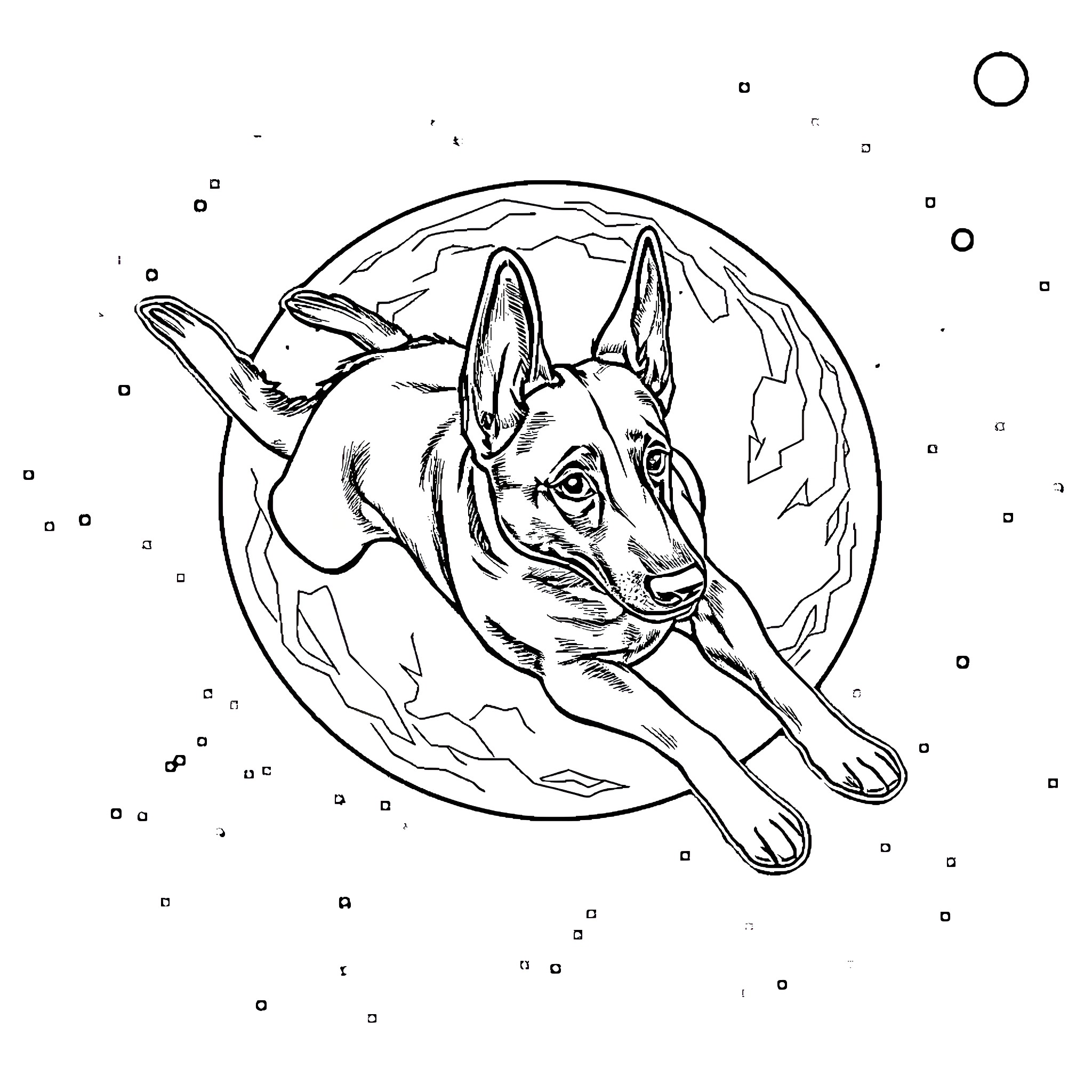 Belgian Malinois lying peacefully under the night sky Coloring Page (free black-and-white line drawing printable PDF for all, from beginners to advanced learners, including children, teens, adults, and seniors)