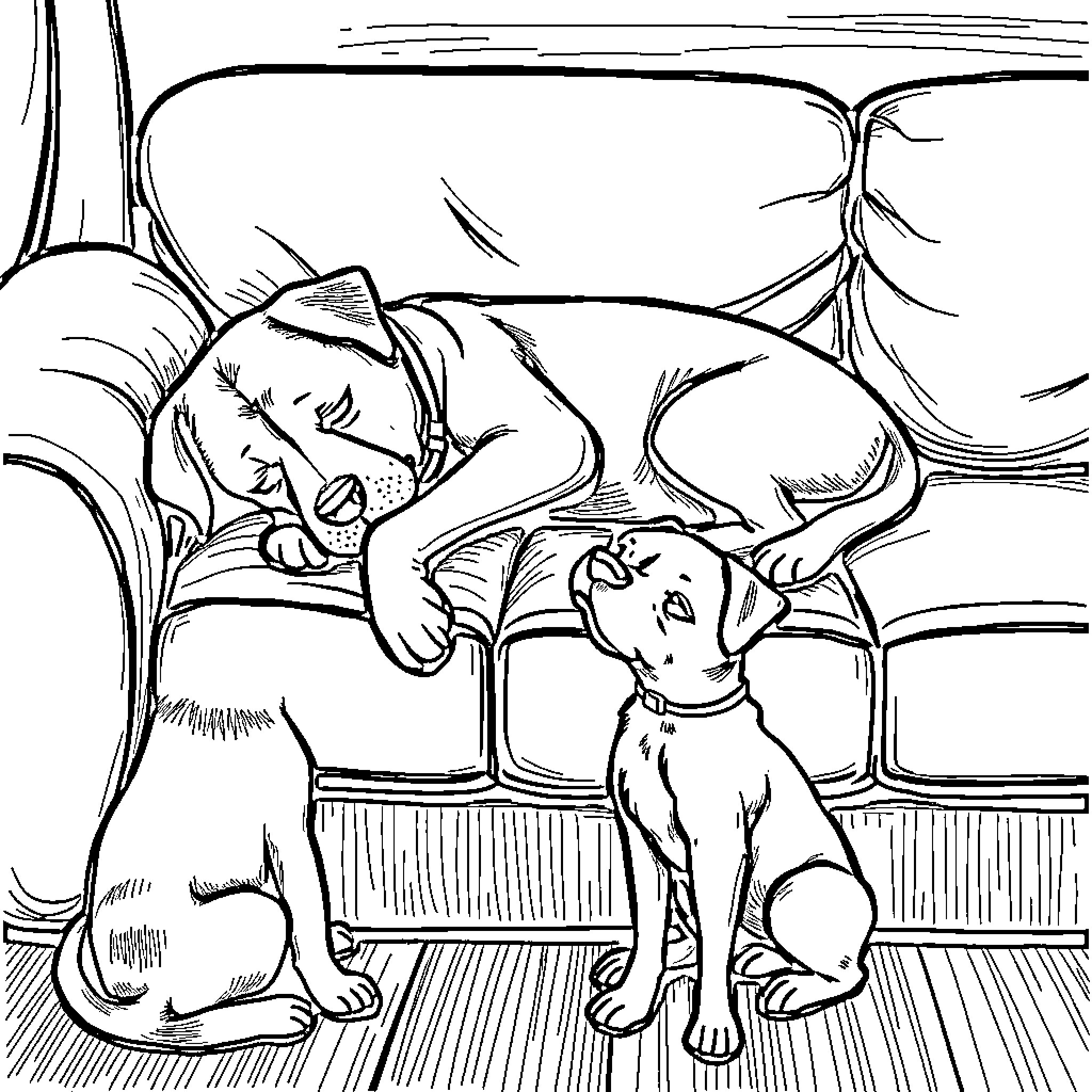 Dog sleeping with another dog on couch Coloring Page (free black-and-white line drawing printable PDF for all, from beginners to advanced learners, including children, teens, adults, and seniors)
