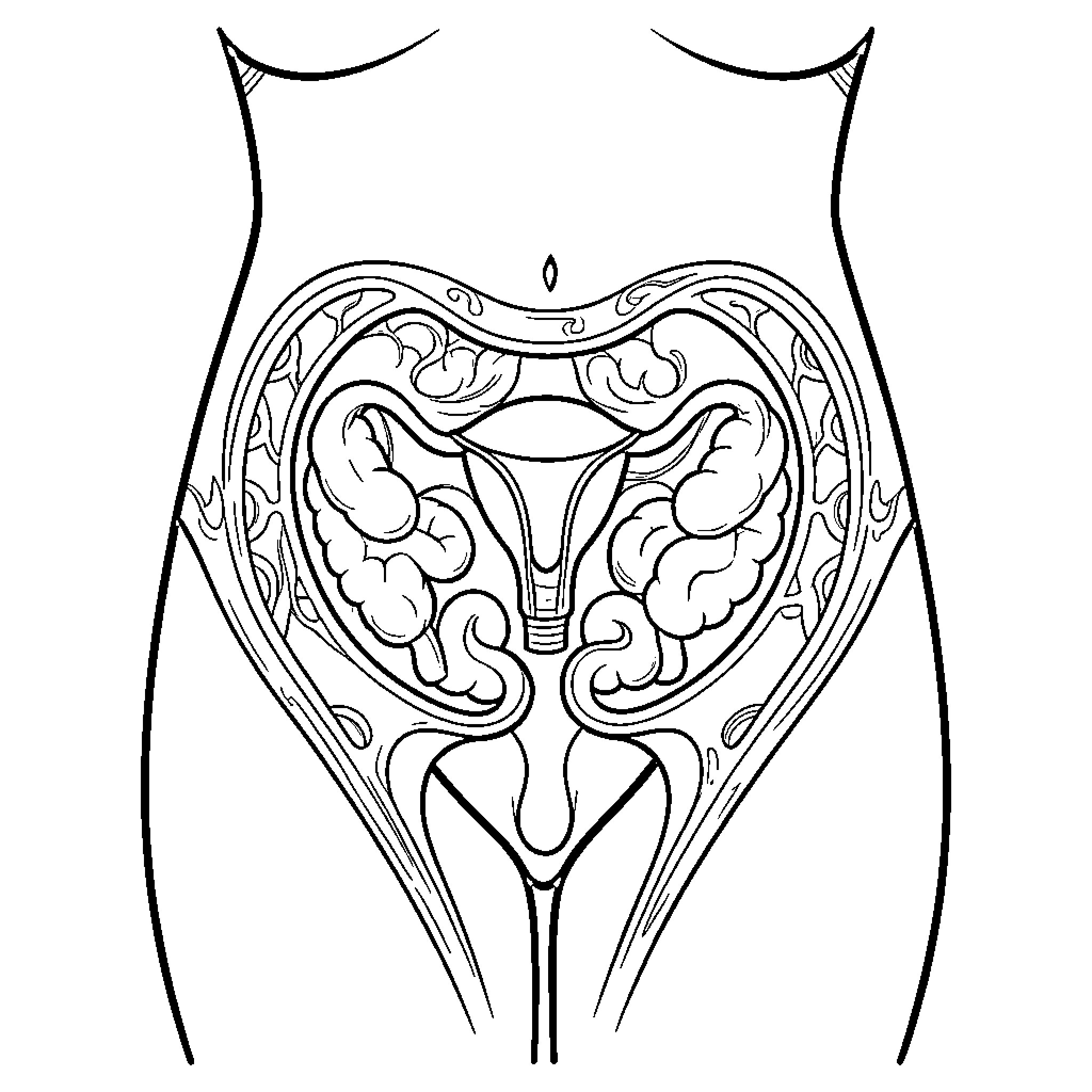Female Pelvic Cavity showing internal anatomical structures Coloring Page (free black-and-white line drawing printable PDF for all, from beginners to advanced learners, including children, teens, adults, and seniors)