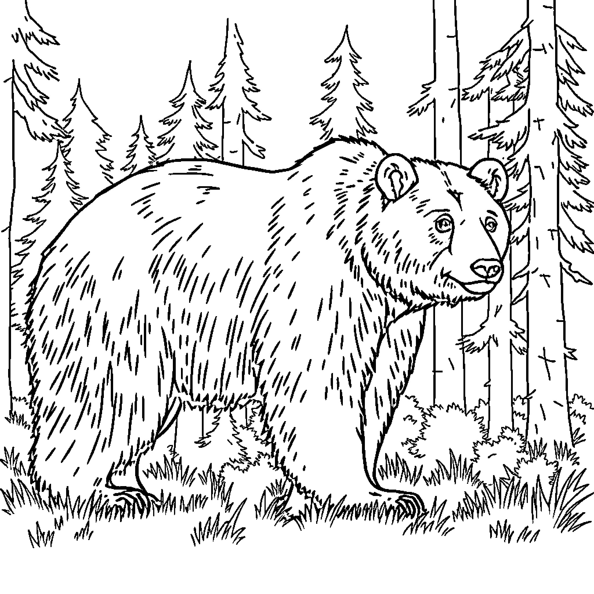 Bear wandering in the forest Coloring Page (free black-and-white line drawing printable PDF for all, from beginners to advanced learners, including children, teens, adults, and seniors)