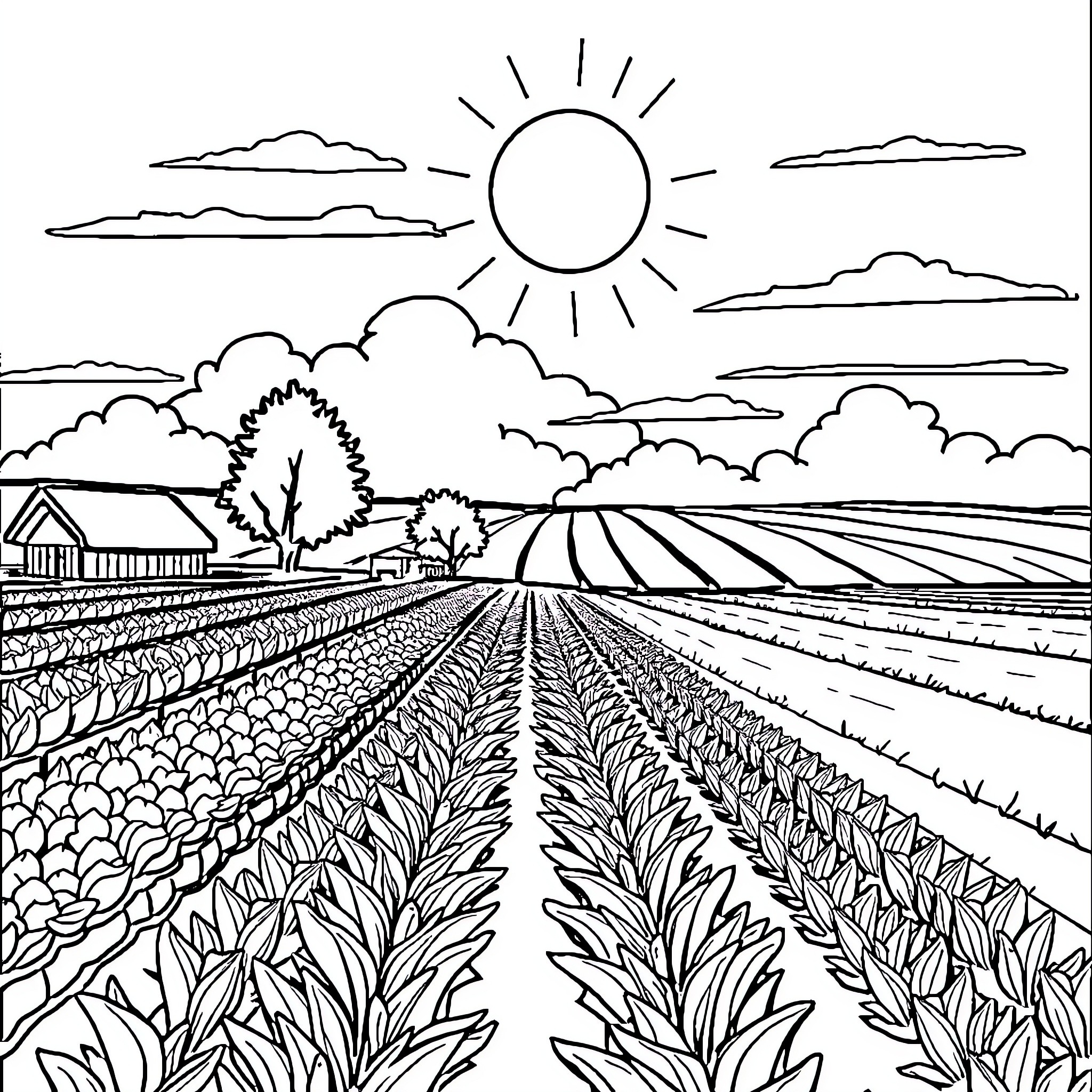 Farm Landscape with Cultivated Fields and Sunlight Coloring Page (free black-and-white line drawing printable PDF for all, from beginners to advanced learners, including children, teens, adults, and seniors)