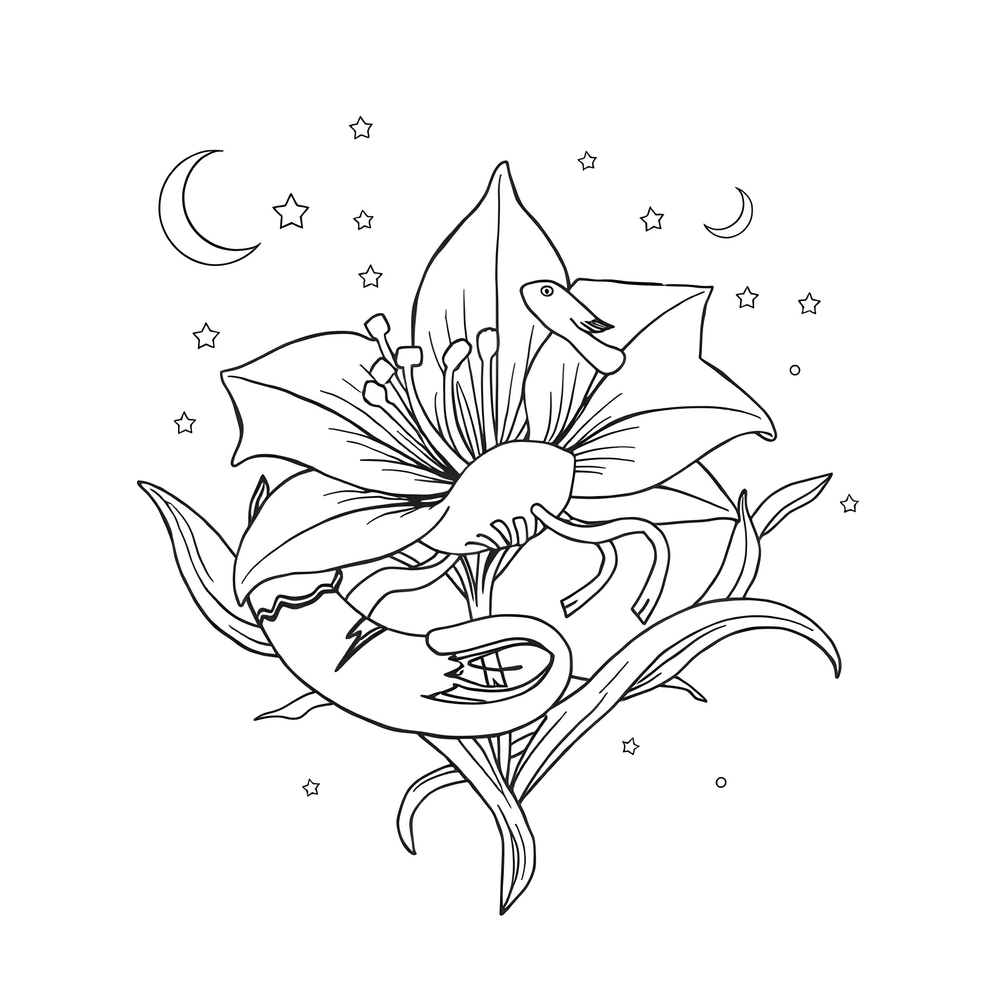Lily blooming amidst celestial elements Coloring Page (free black-and-white line drawing printable PDF for all, from beginners to advanced learners, including children, teens, adults, and seniors)