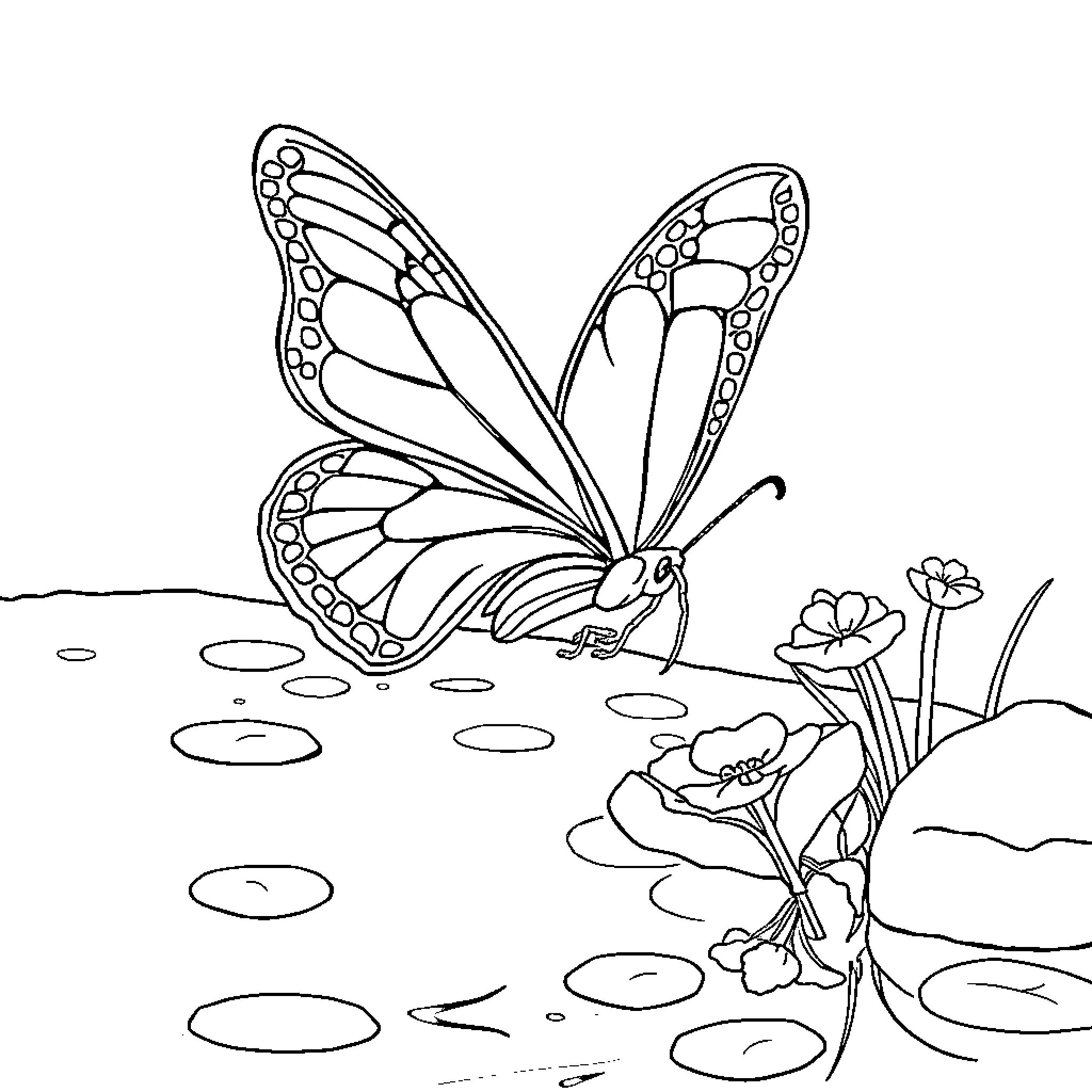Butterfly exploring a colorful garden Coloring Page (free black-and-white line drawing printable PDF for all, from beginners to advanced learners, including children, teens, adults, and seniors)