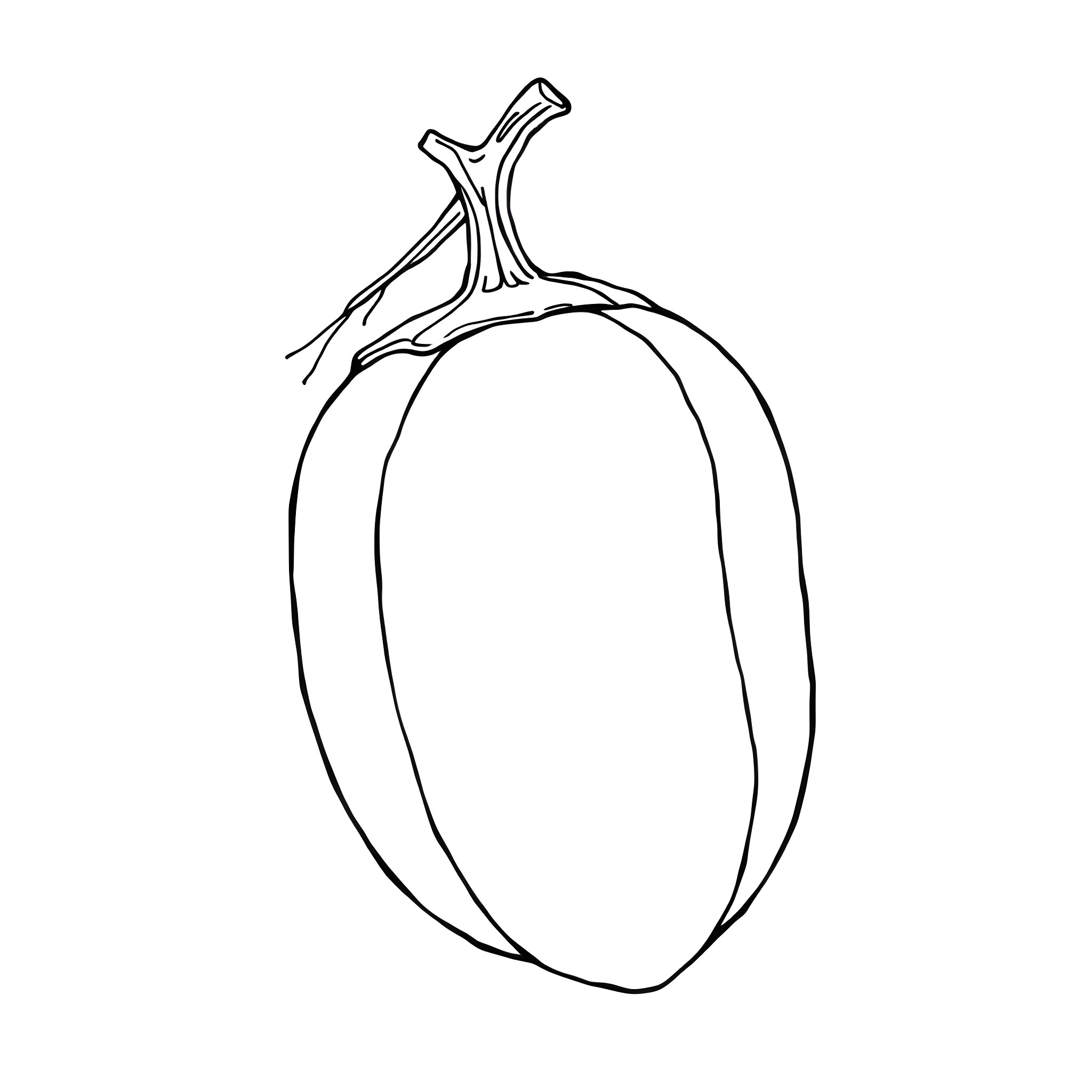 Brinjal in simple outline design Coloring Page (free black-and-white line drawing printable PDF for all, from beginners to advanced learners, including children, teens, adults, and seniors)