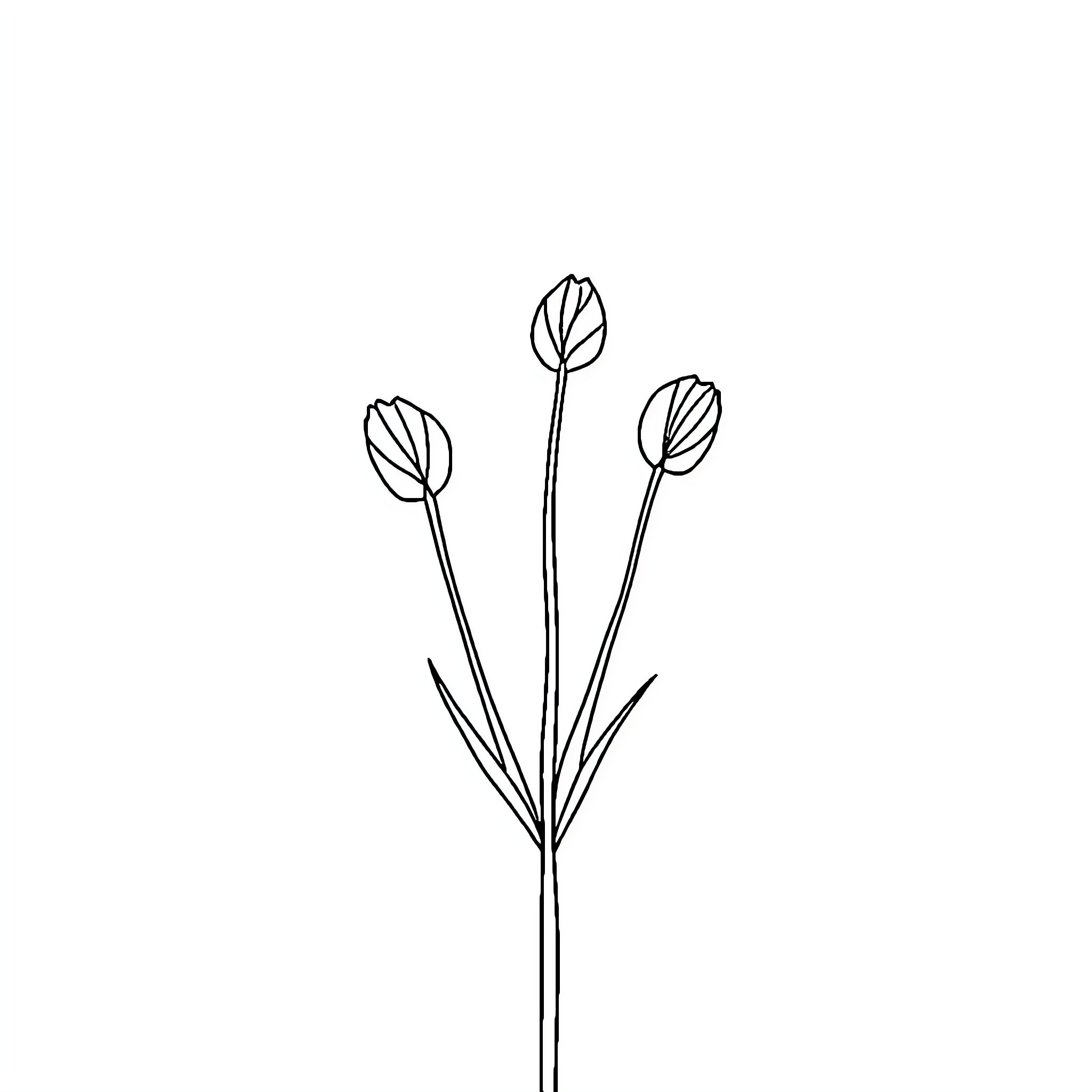 Simple Floral Stems in Minimalist Style Coloring Page (free black-and-white line drawing printable PDF for all, from beginners to advanced learners, including children, teens, adults, and seniors)