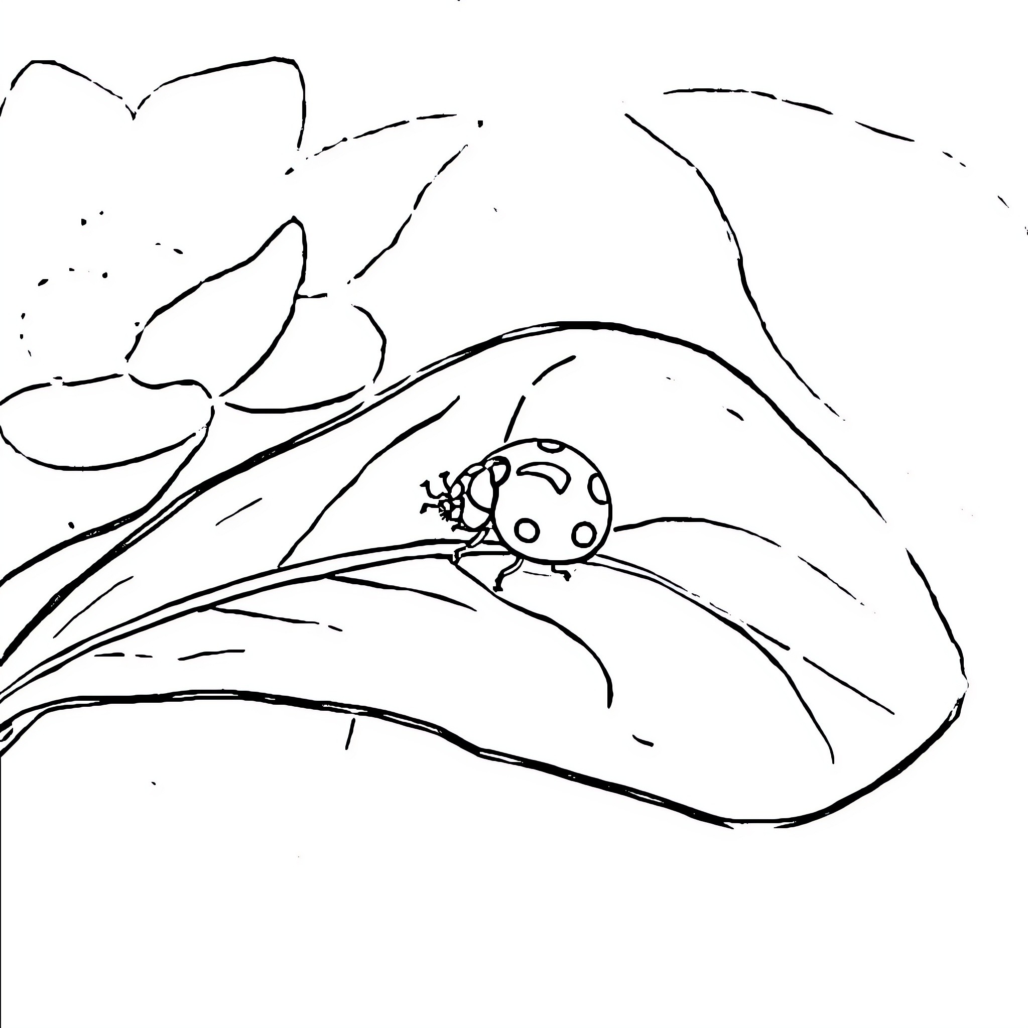 Ladybug resting on a leaf in nature Coloring Page (free black-and-white line drawing printable PDF for all, from beginners to advanced learners, including children, teens, adults, and seniors)