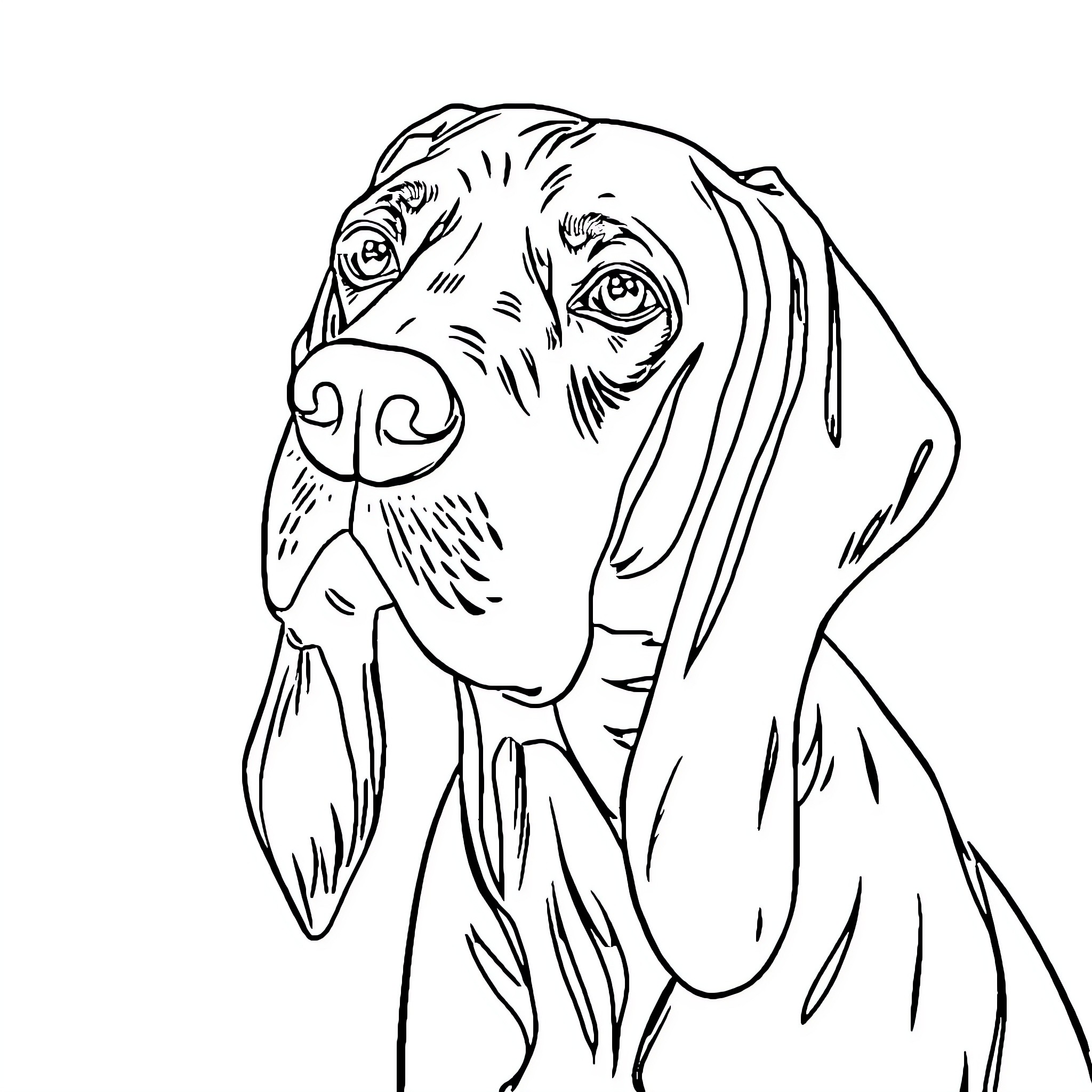 Weimaraner dog with expressive features Coloring Page (free black-and-white line drawing printable PDF for all, from beginners to advanced learners, including children, teens, adults, and seniors)