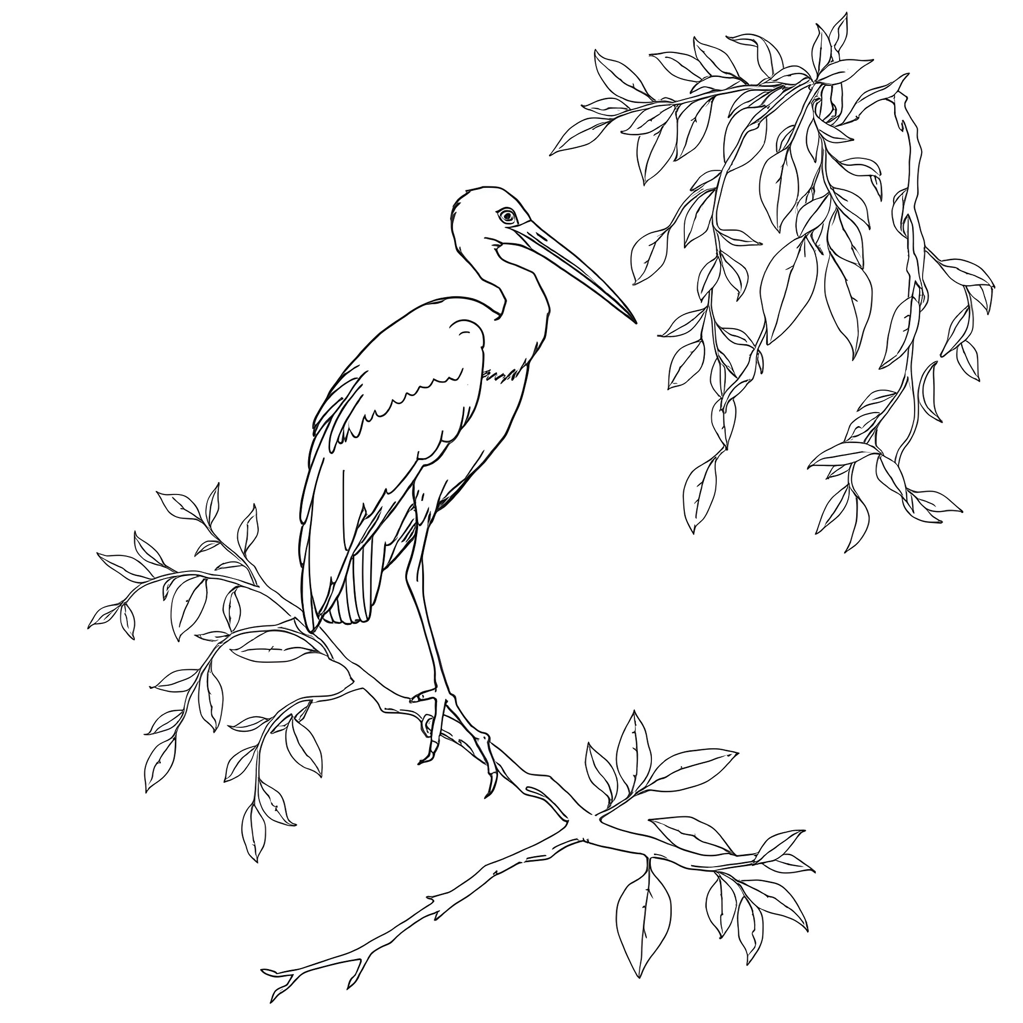 Ibis perching on branch with leaves Coloring Page (free black-and-white line drawing printable PDF for all, from beginners to advanced learners, including children, teens, adults, and seniors)