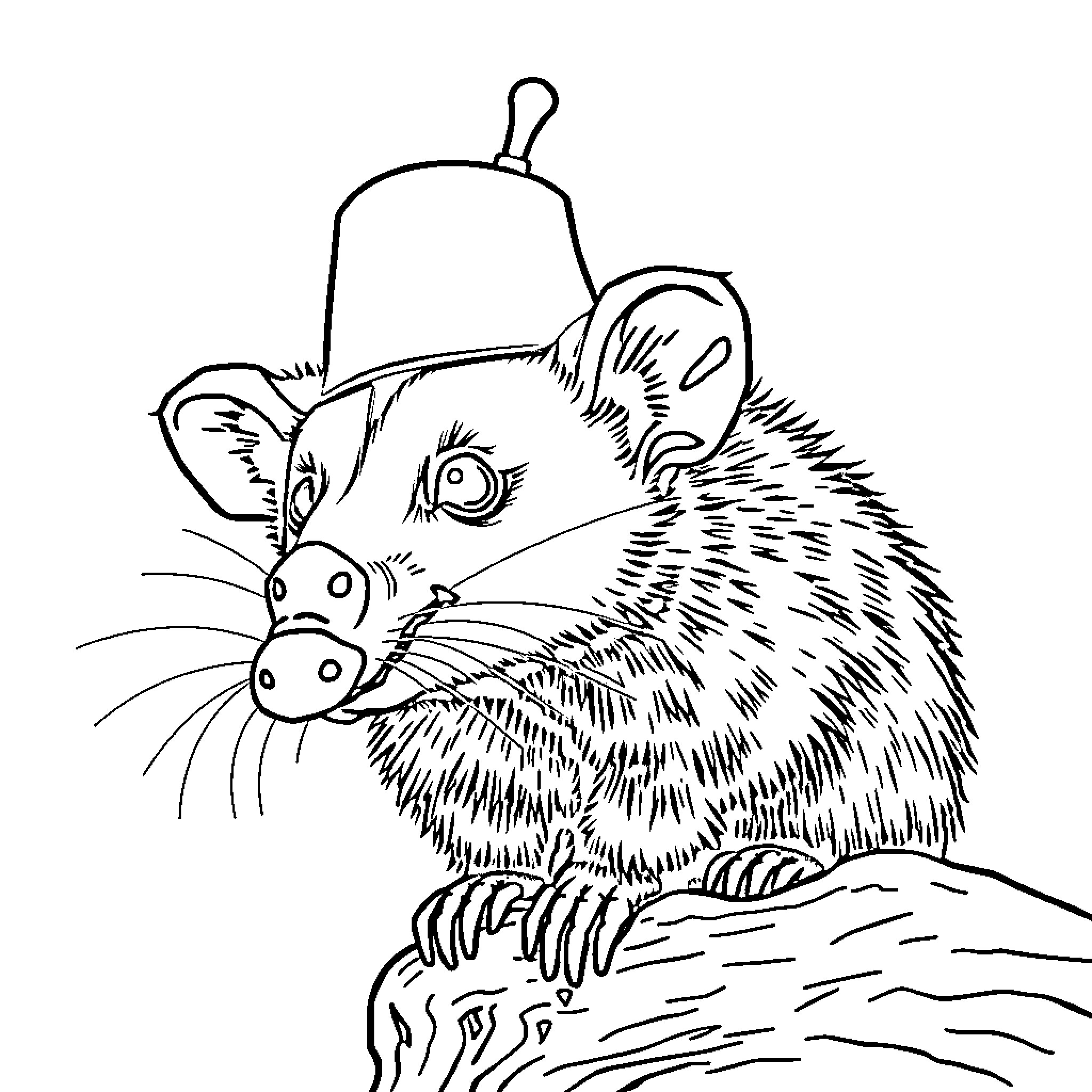 Opossum exploring a curious object Coloring Page (free black-and-white line drawing printable PDF for all, from beginners to advanced learners, including children, teens, adults, and seniors)