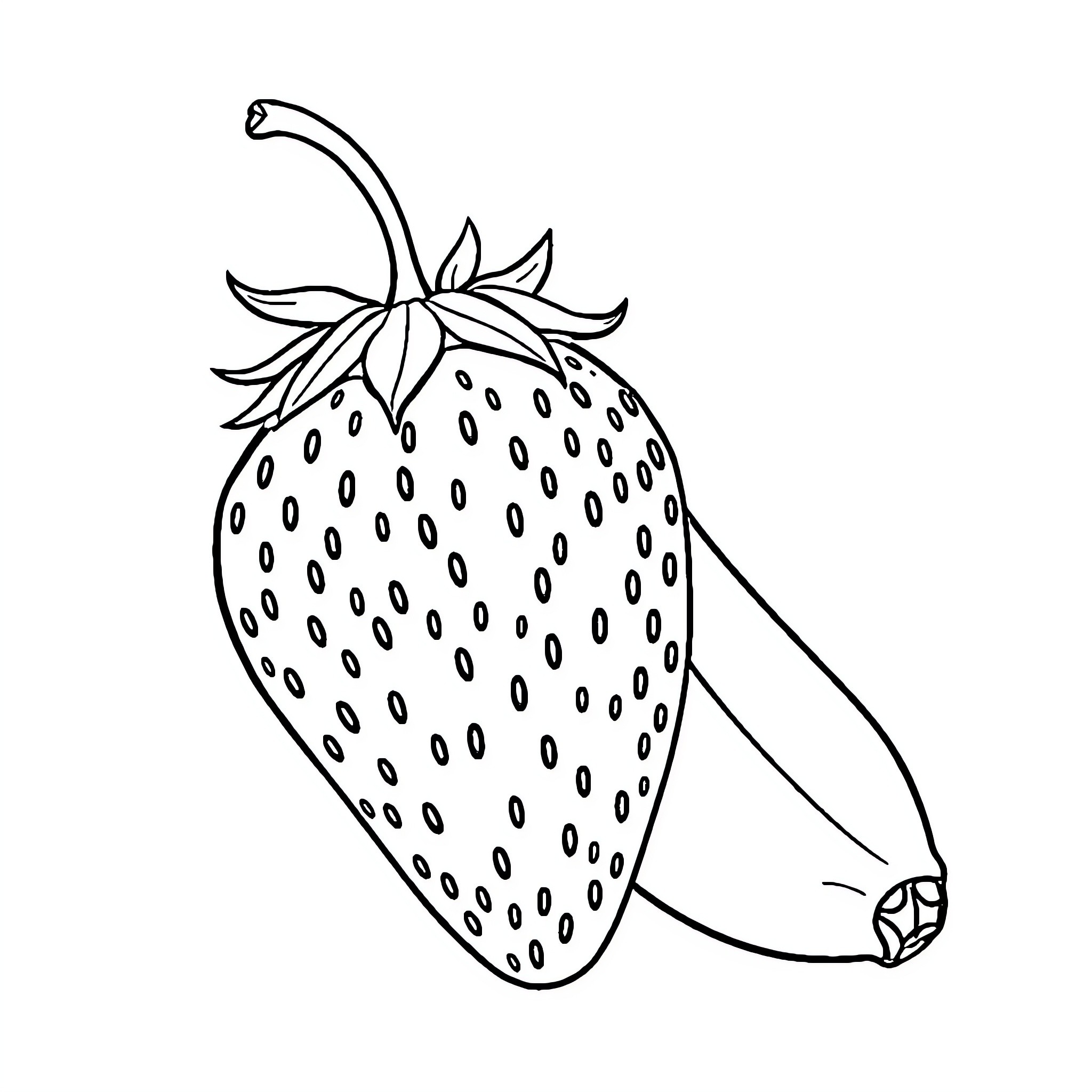 Strawberry fruit sketch with detailed texture Coloring Page (free black-and-white line drawing printable PDF for all, from beginners to advanced learners, including children, teens, adults, and seniors)