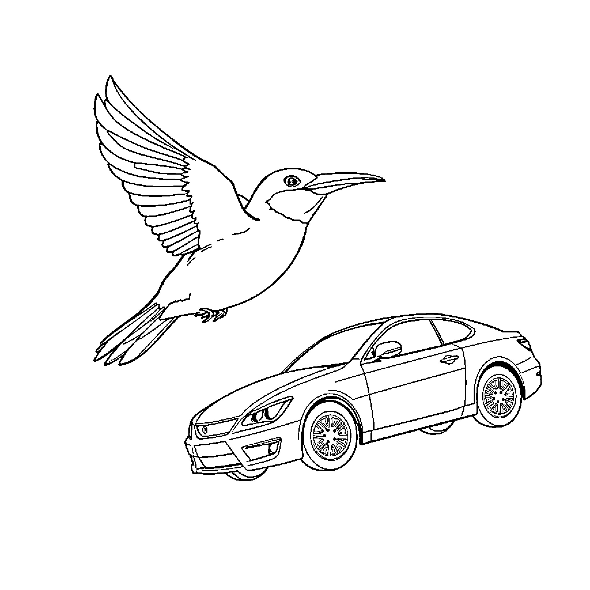 Bird soaring above sleek sports car Coloring Page (free black-and-white line drawing printable PDF for all, from beginners to advanced learners, including children, teens, adults, and seniors)