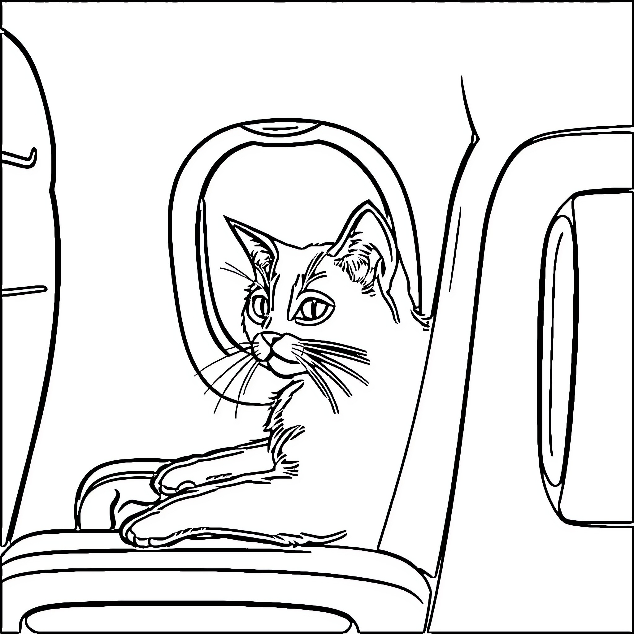 Cat looking through car window Coloring Page (free black-and-white line drawing printable PDF for all, from beginners to advanced learners, including children, teens, adults, and seniors)
