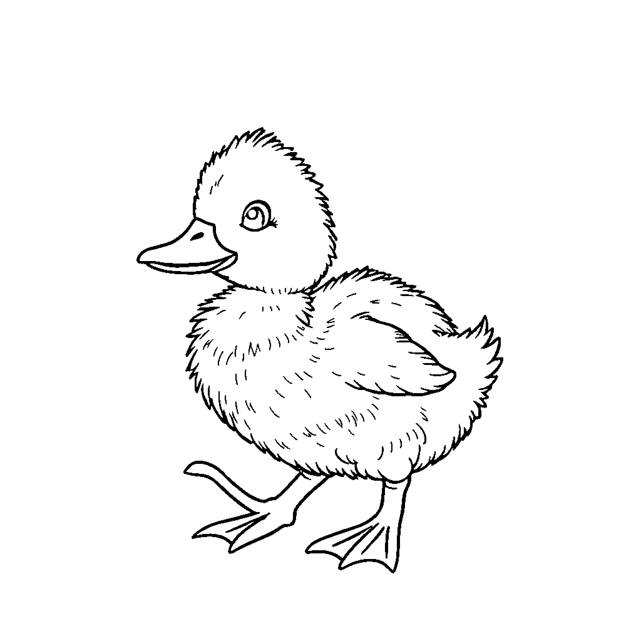 Duckling with cute expression Coloring Page (free black-and-white line drawing printable PDF for all, from beginners to advanced learners, including children, teens, adults, and seniors)