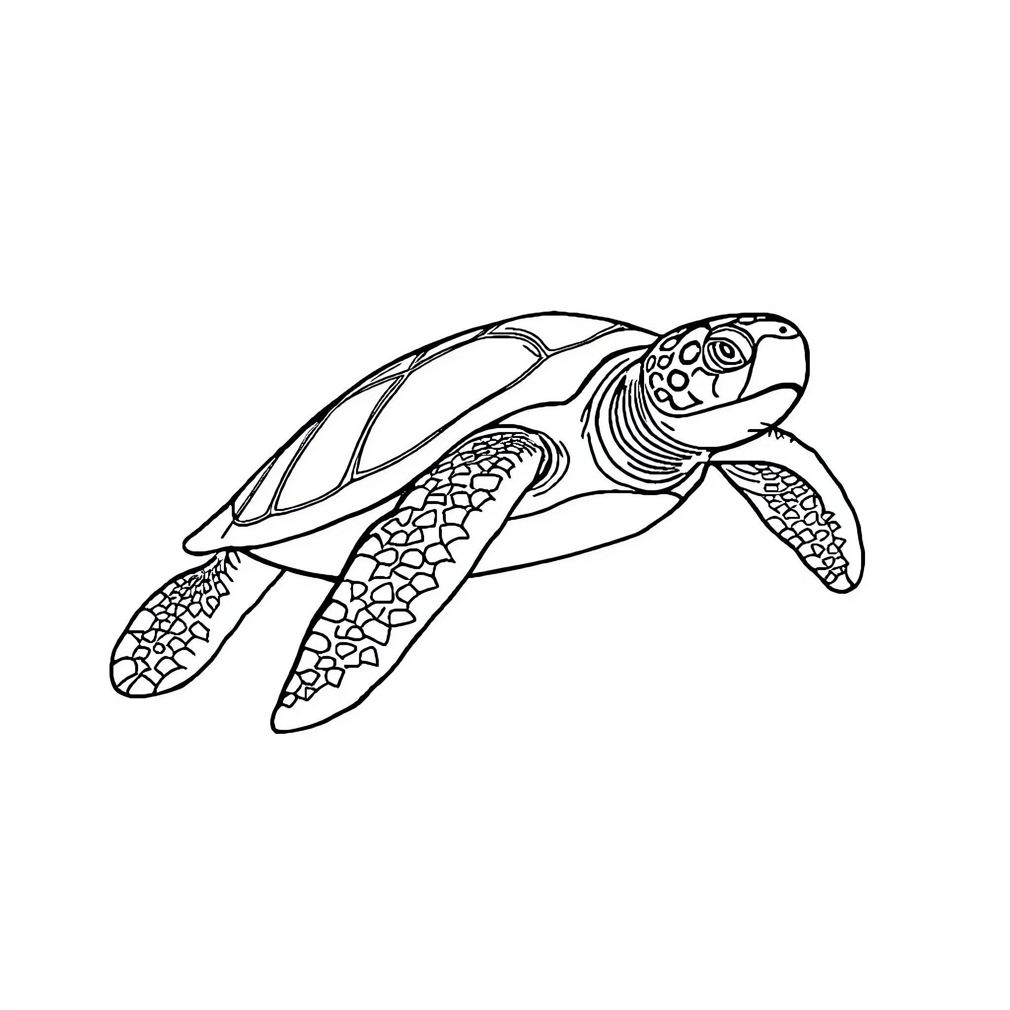Sea Turtle swimming gracefully Coloring Page (free black-and-white line drawing printable PDF for all, from beginners to advanced learners, including children, teens, adults, and seniors)