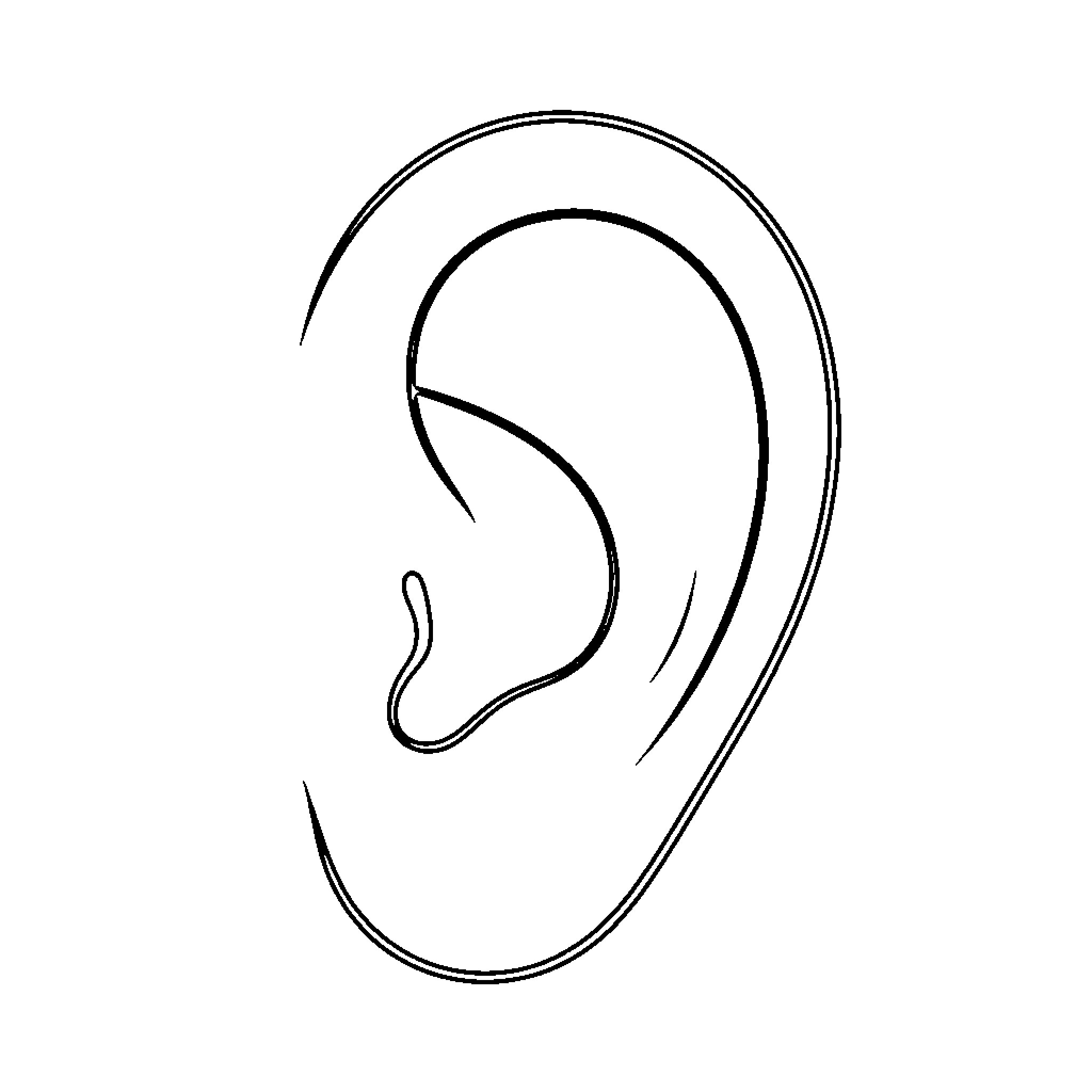 Ear outline drawn with simple black lines Coloring Page (free black-and-white line drawing printable PDF for all, from beginners to advanced learners, including children, teens, adults, and seniors)
