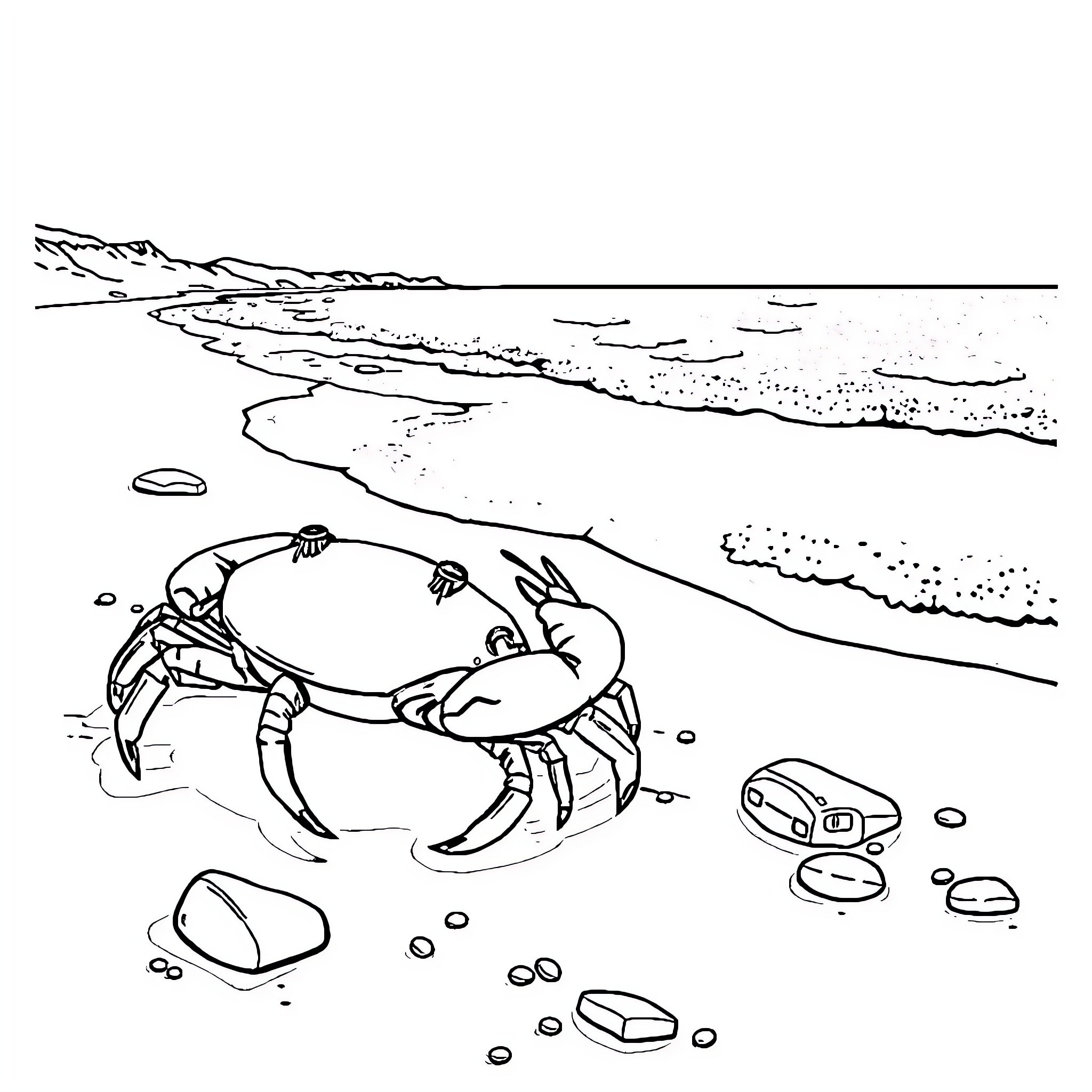 Crab exploring the rocky shoreline Coloring Page (free black-and-white line drawing printable PDF for all, from beginners to advanced learners, including children, teens, adults, and seniors)