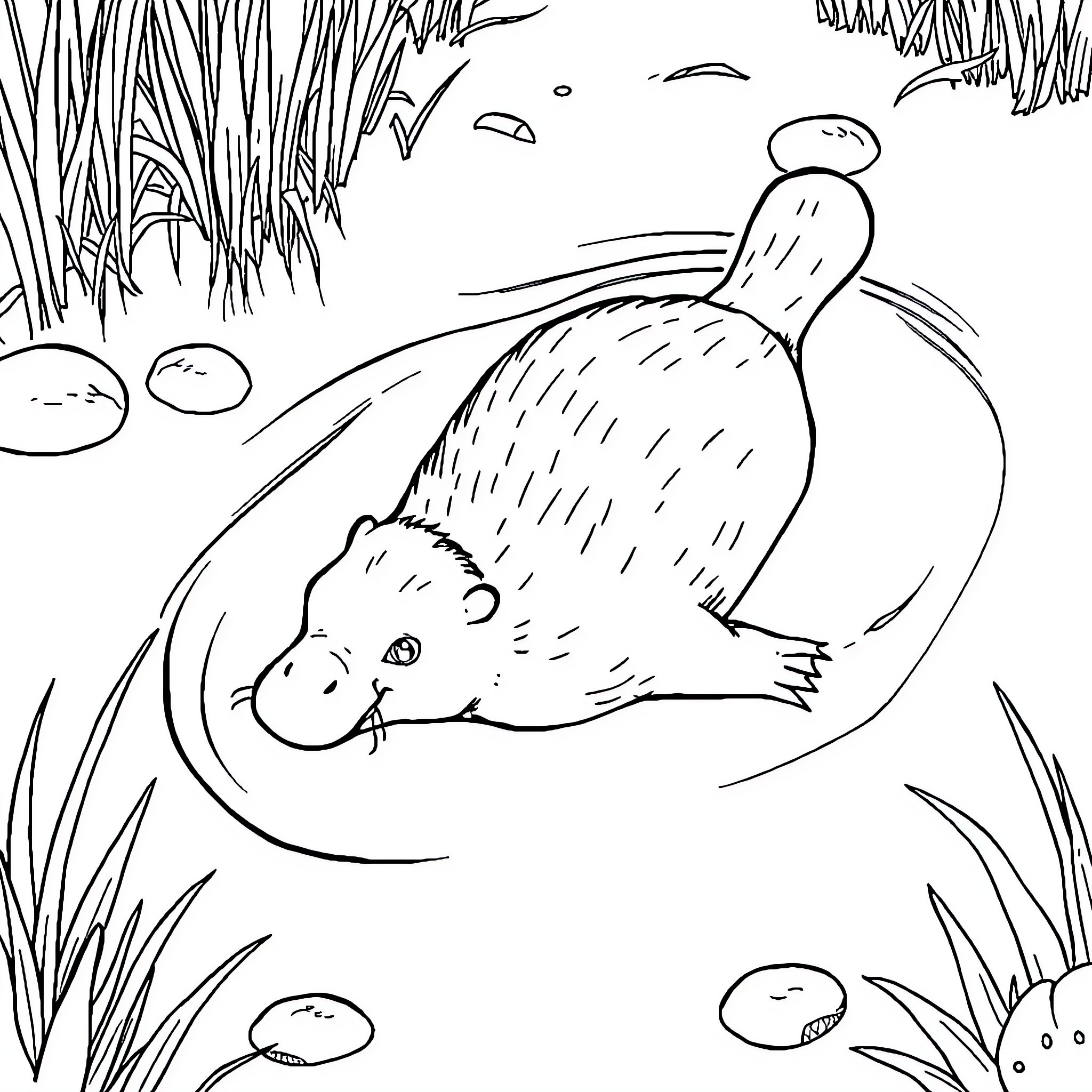 Platypus swimming peacefully in the pond Coloring Page (free black-and-white line drawing printable PDF for all, from beginners to advanced learners, including children, teens, adults, and seniors)