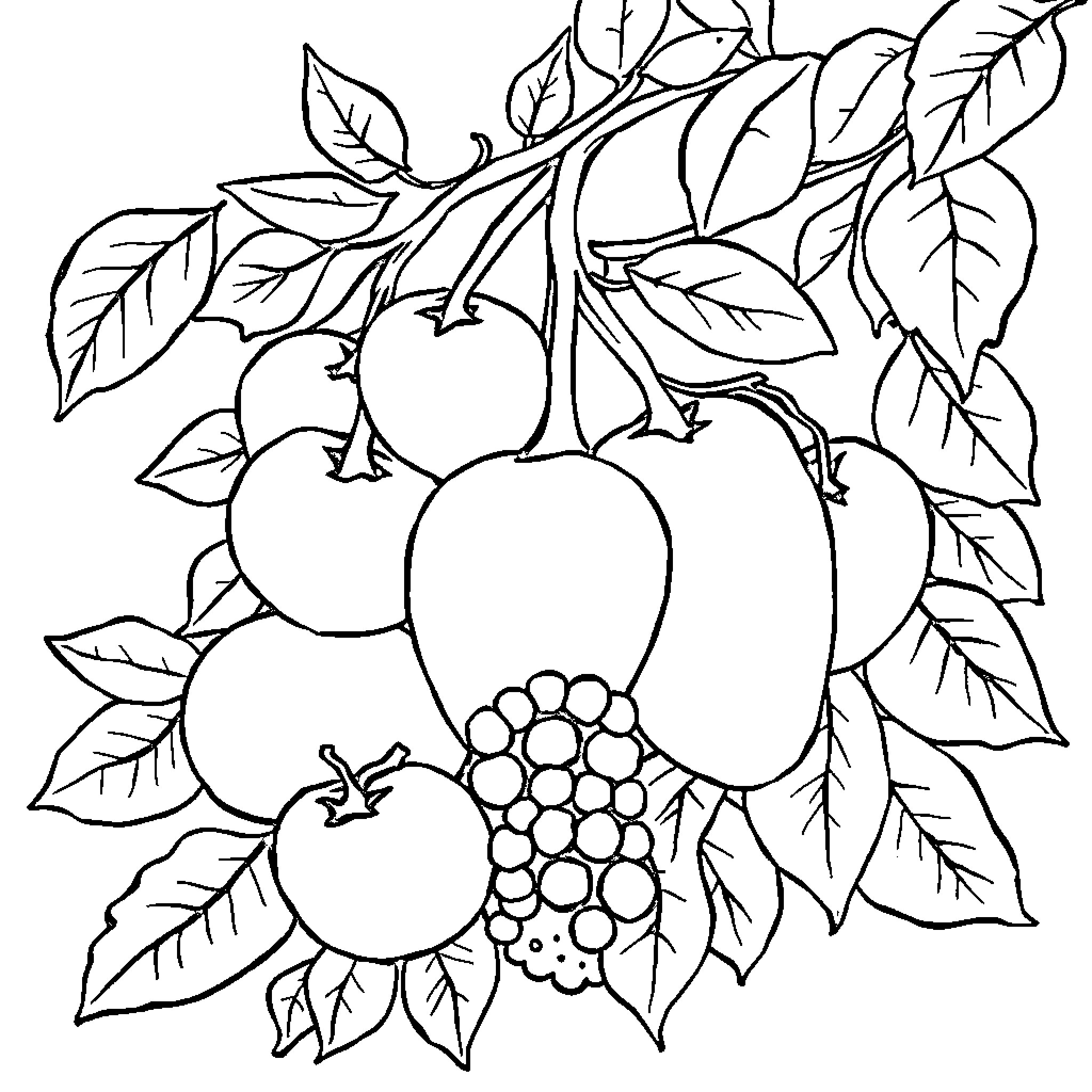 Fruit Abundance in Nature Coloring Page (free black-and-white line drawing printable PDF for all, from beginners to advanced learners, including children, teens, adults, and seniors)