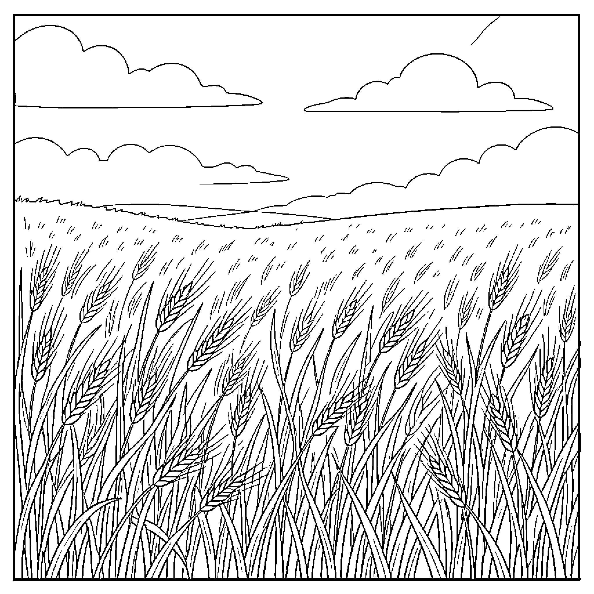 Windmill in the Wheat Field Coloring Page (free black-and-white line drawing printable PDF for all, from beginners to advanced learners, including children, teens, adults, and seniors)