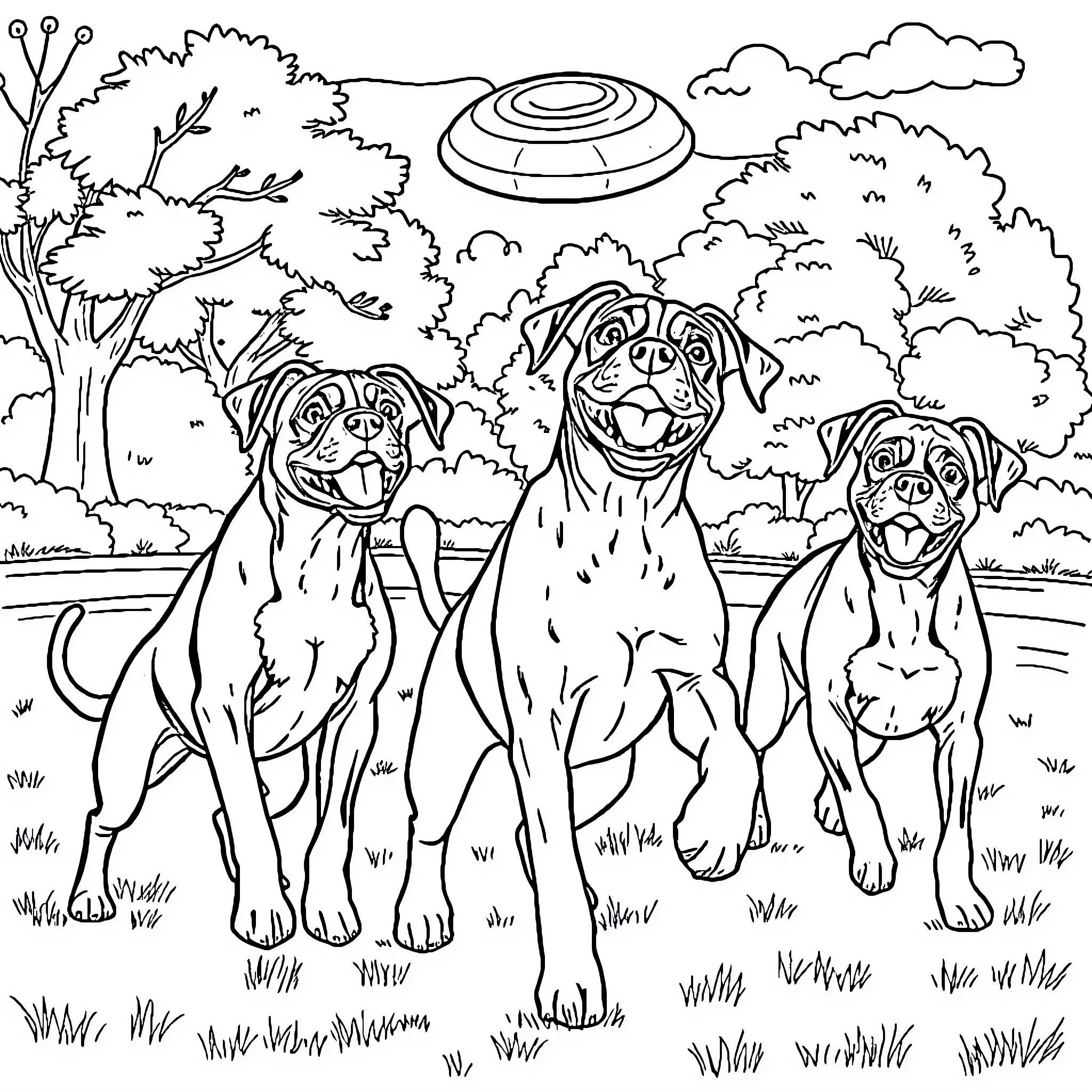 Boxer dogs playing in a park with a UFO Coloring Page (free black-and-white line drawing printable PDF for all, from beginners to advanced learners, including children, teens, adults, and seniors)