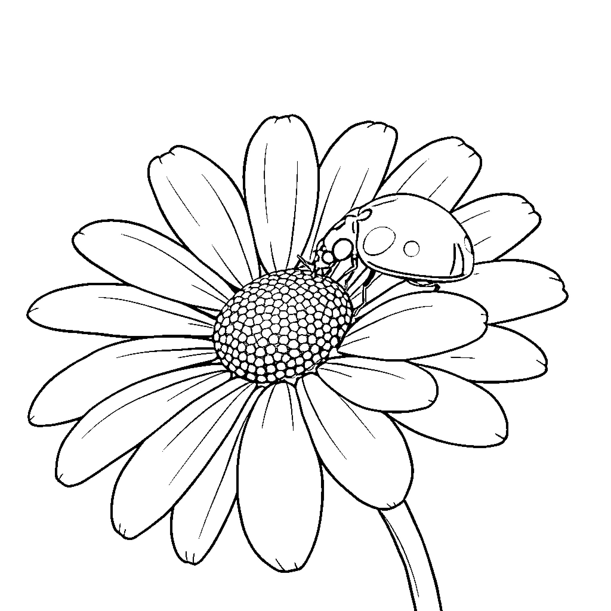 Ladybug resting on a daisy flower Coloring Page (free black-and-white line drawing printable PDF for all, from beginners to advanced learners, including children, teens, adults, and seniors)