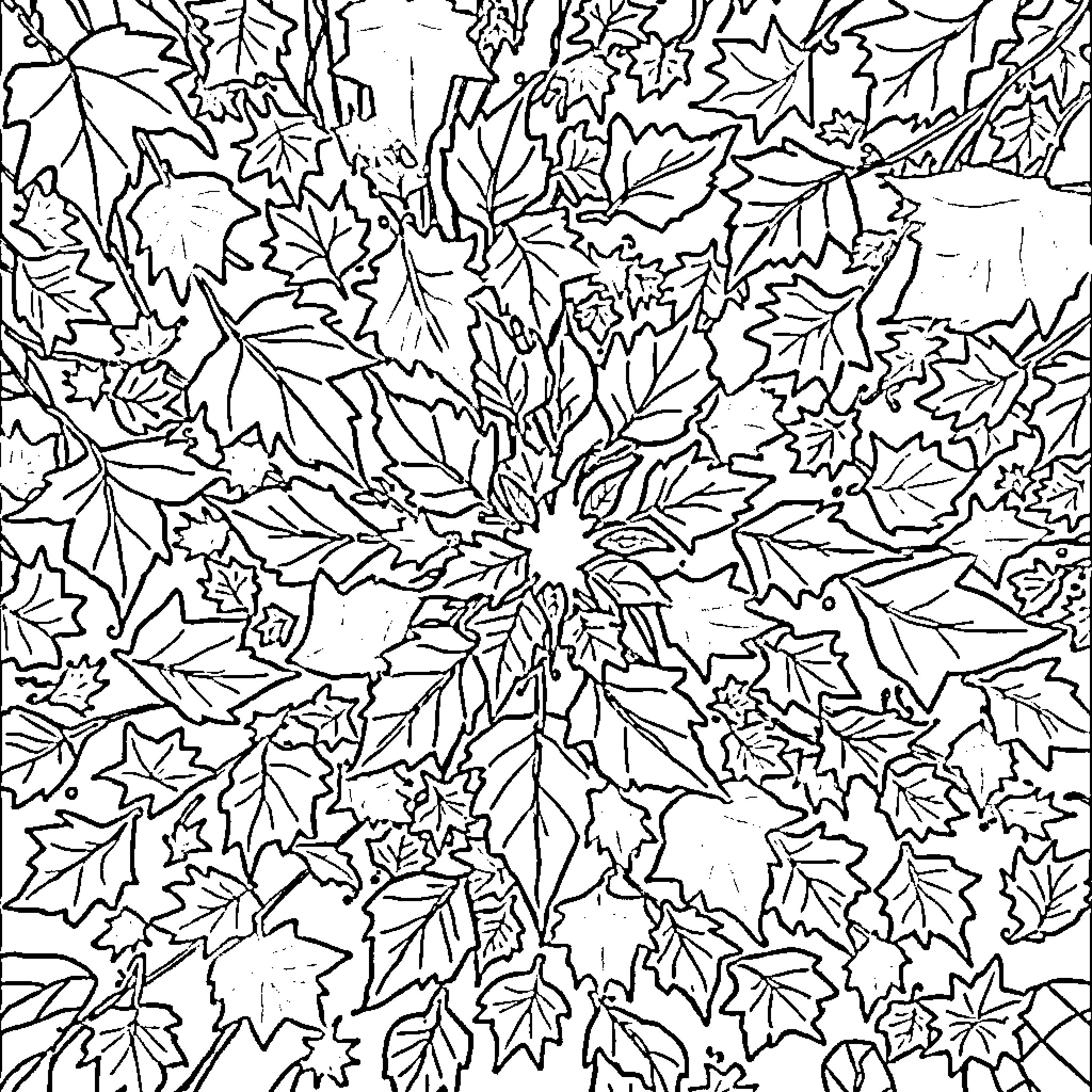 Kaleidoscope of Maple Leaves Swirling Coloring Page (free black-and-white line drawing printable PDF for all, from beginners to advanced learners, including children, teens, adults, and seniors)