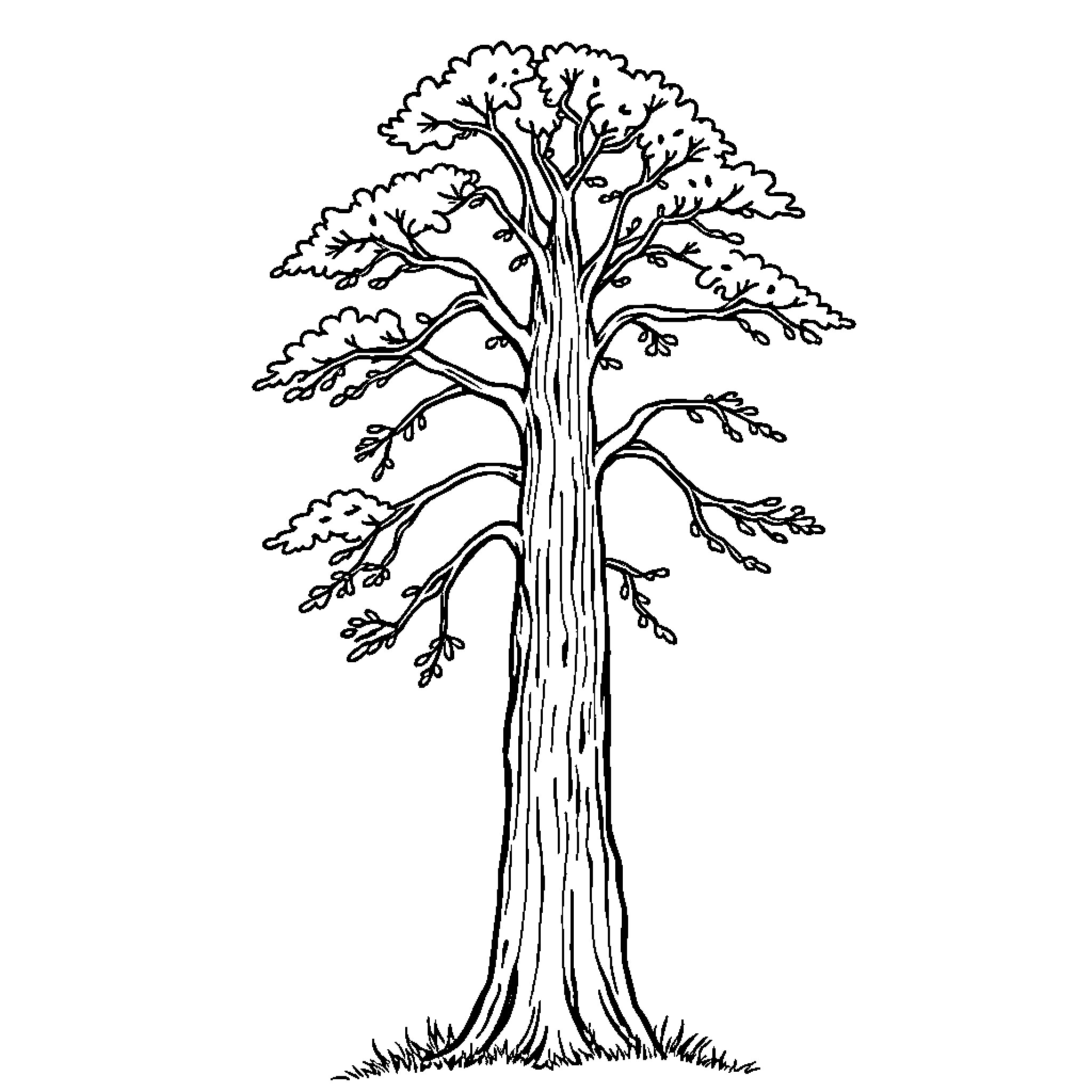 Tree with Intricate Branches Coloring Page (free black-and-white line drawing printable PDF for all, from beginners to advanced learners, including children, teens, adults, and seniors)