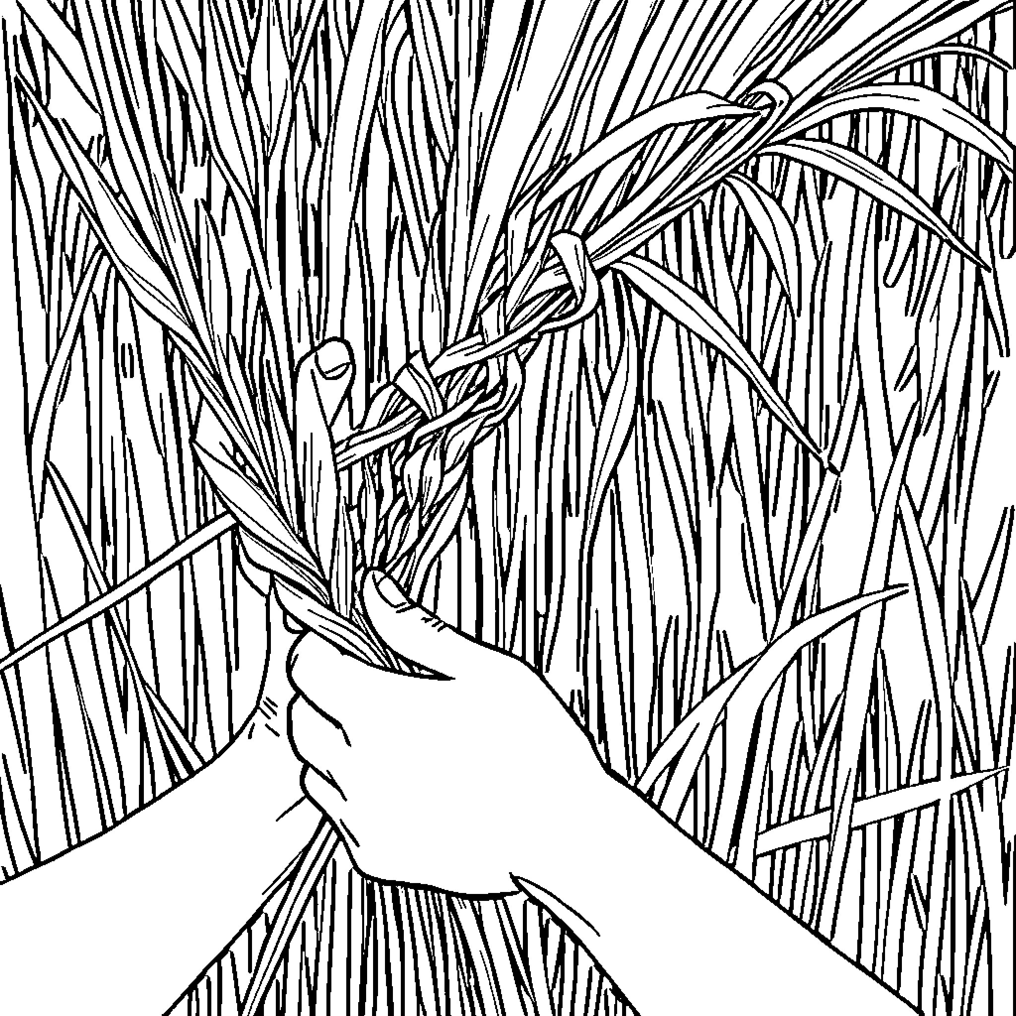Grass reaching for the sky Coloring Page (free black-and-white line drawing printable PDF for all, from beginners to advanced learners, including children, teens, adults, and seniors)